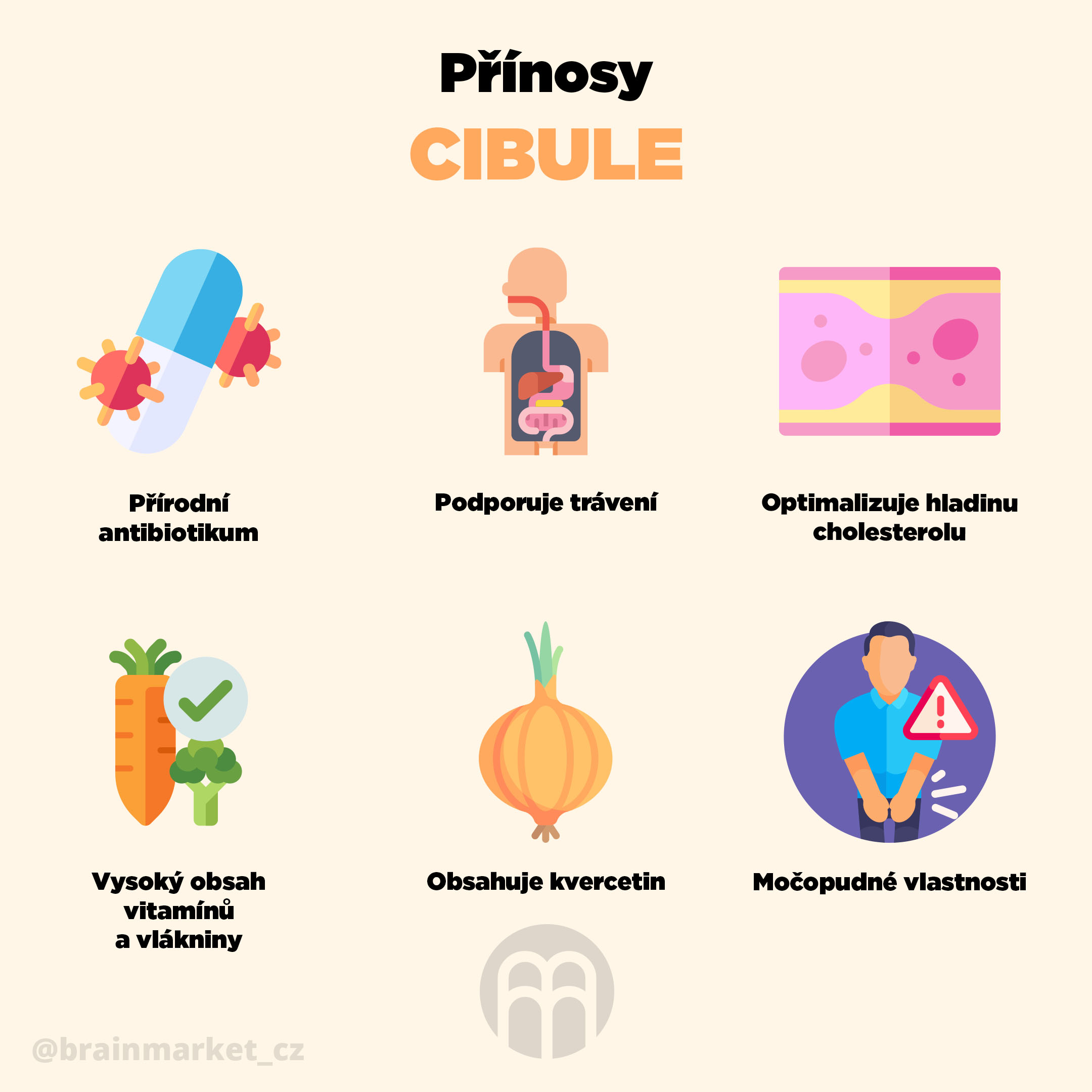 prinosy-cibule-infografika-brainmarket-cz