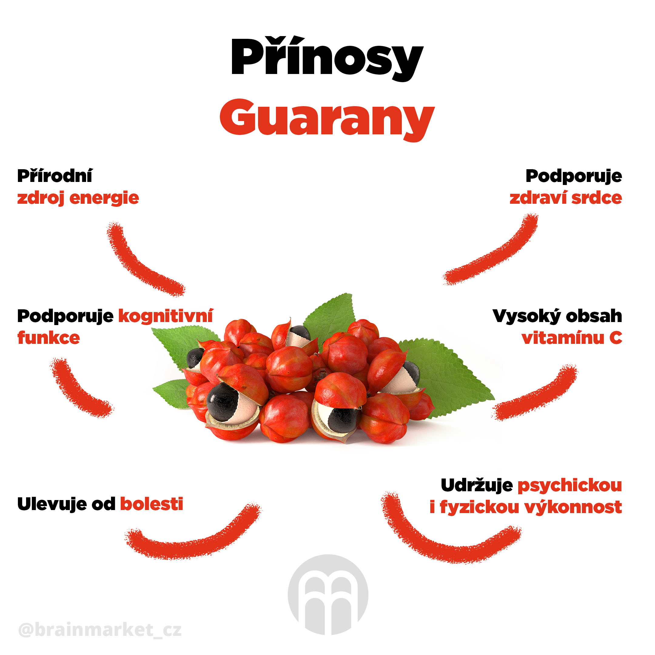 prinosy-guarany-infografika-brainmarket-cz