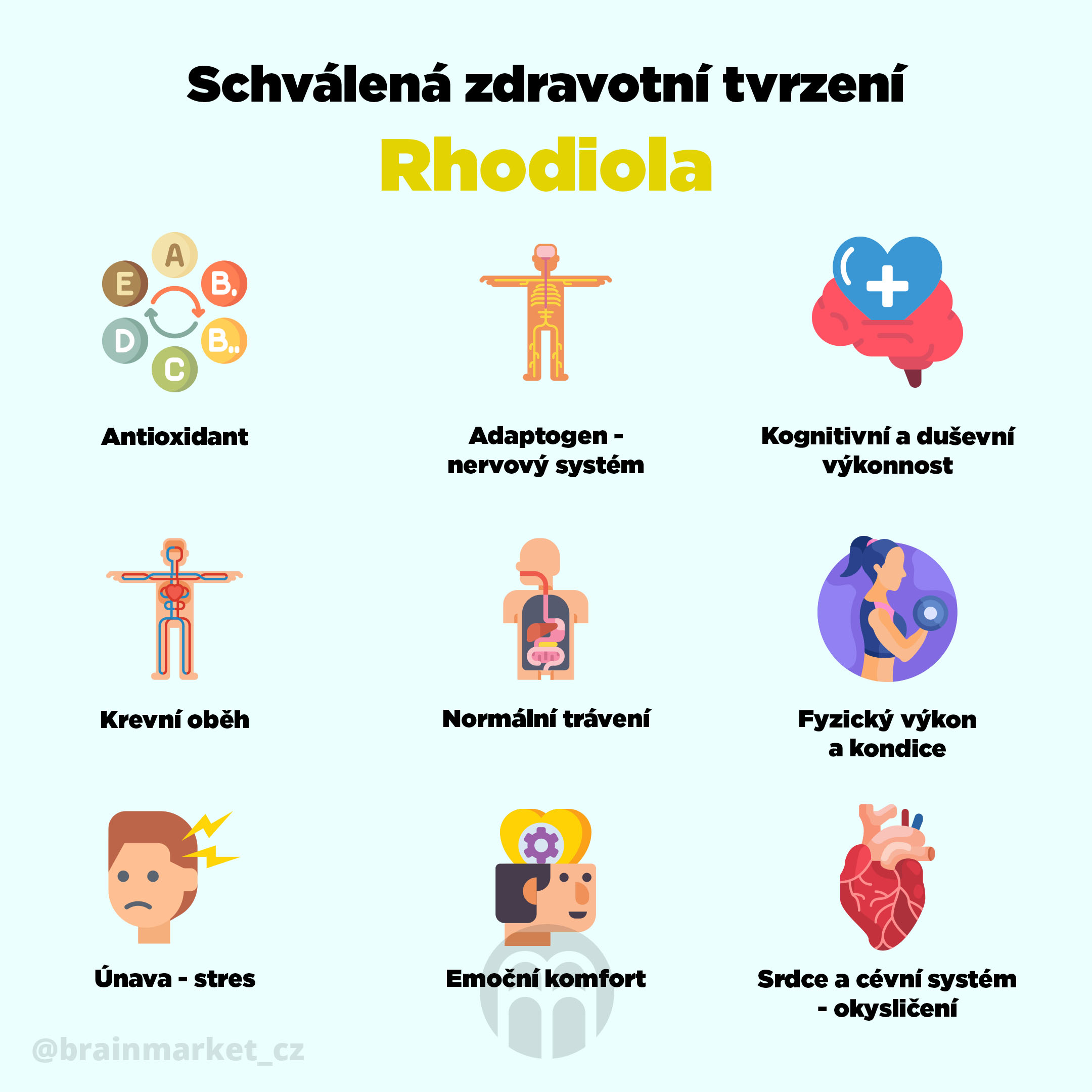 rhodiola_infografika_brainmarket_cz