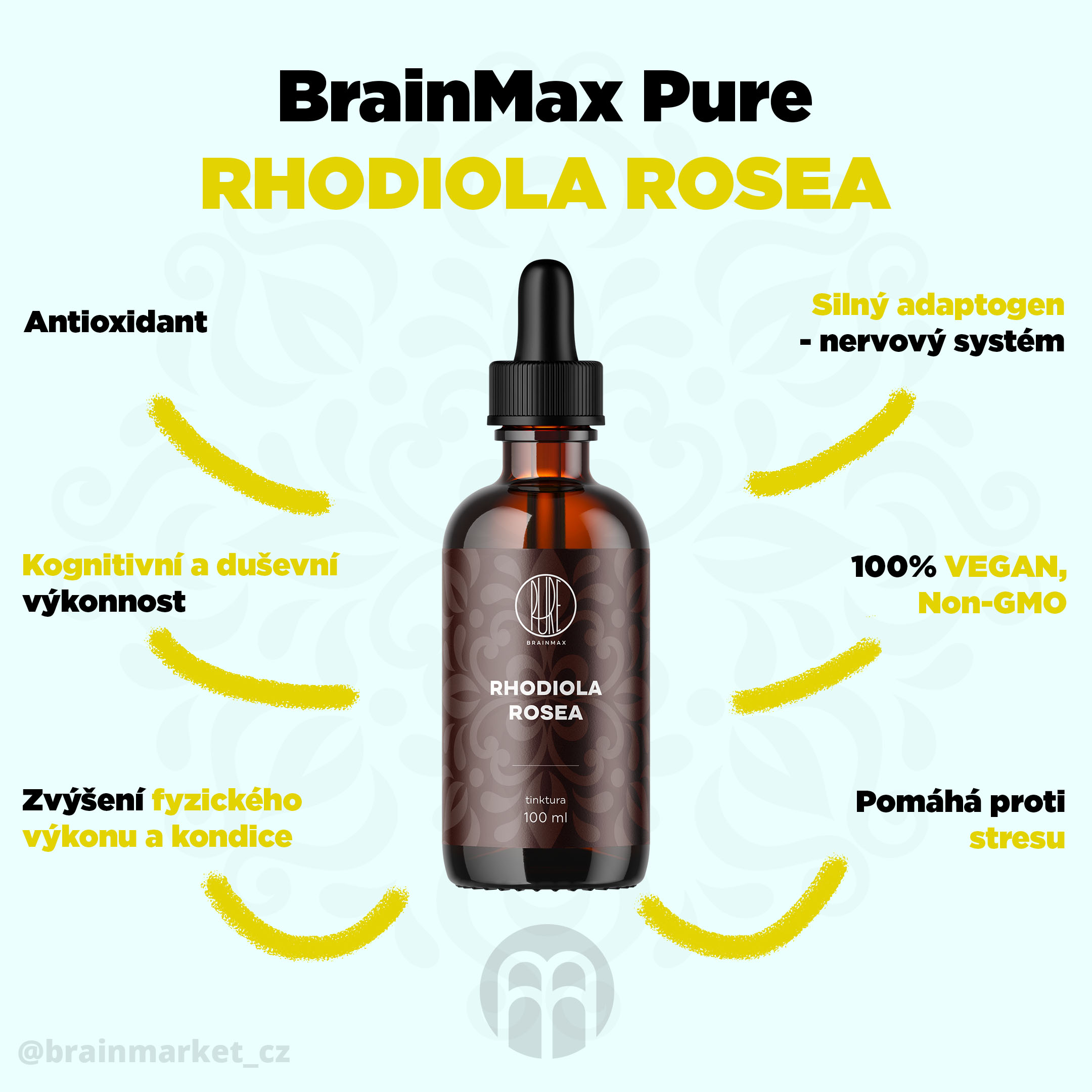 rhodiola_infografika_brainmarket_cz_1