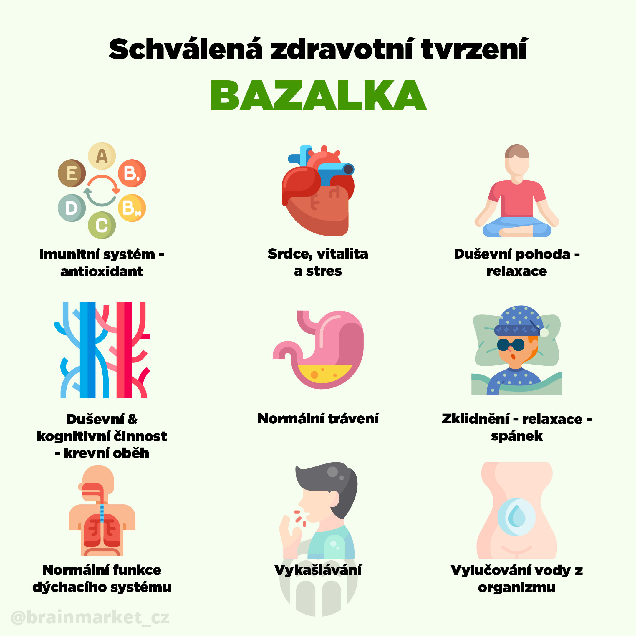 schvalena_zdrav_bazalka_infografika_brainmarket_cz