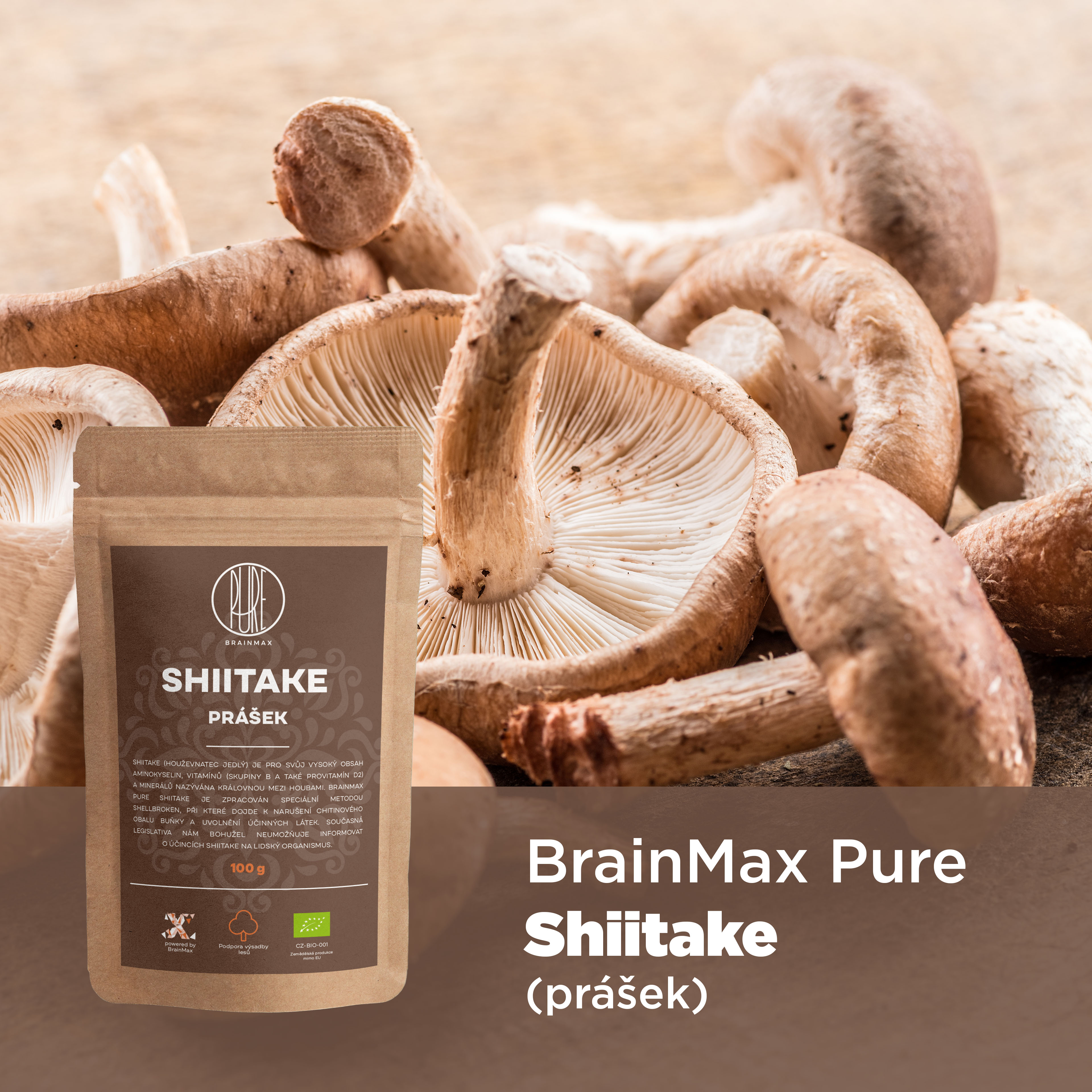 shiitake_infografika_brainmarket_cz