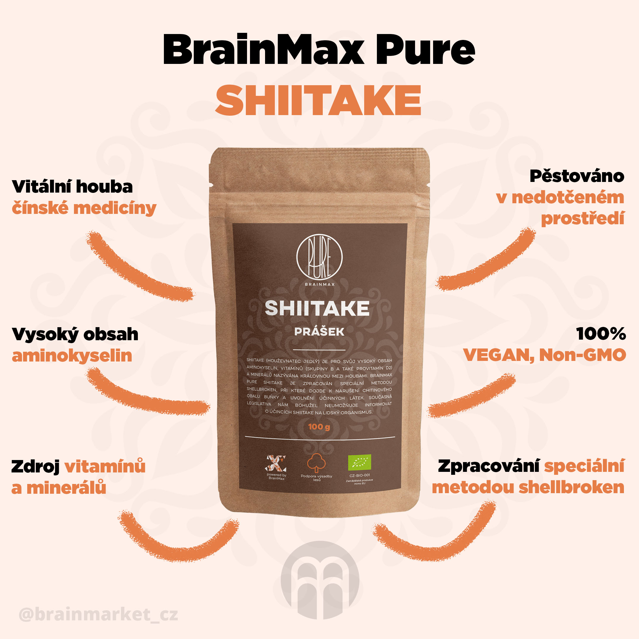 shiitake_pavucina_infografik_brainmarket_cz