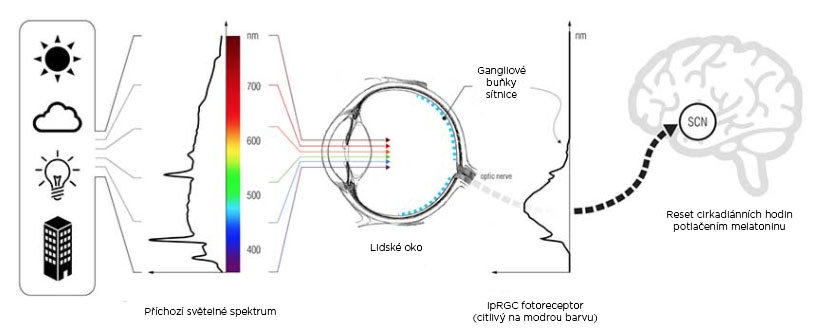 snimek-obrazovky-2021-06-21-v-7.28.05