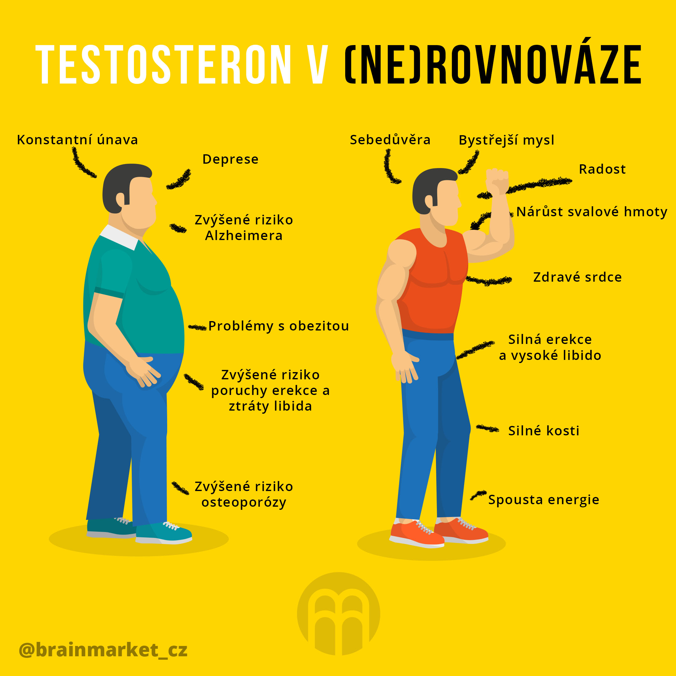 testosteron-rovnovaha