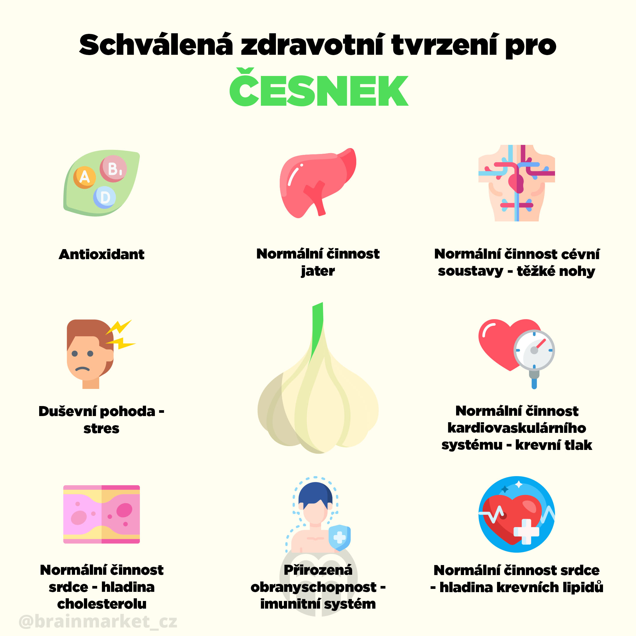 tvrzeni-cesnek-infografika-brainmarket-cz