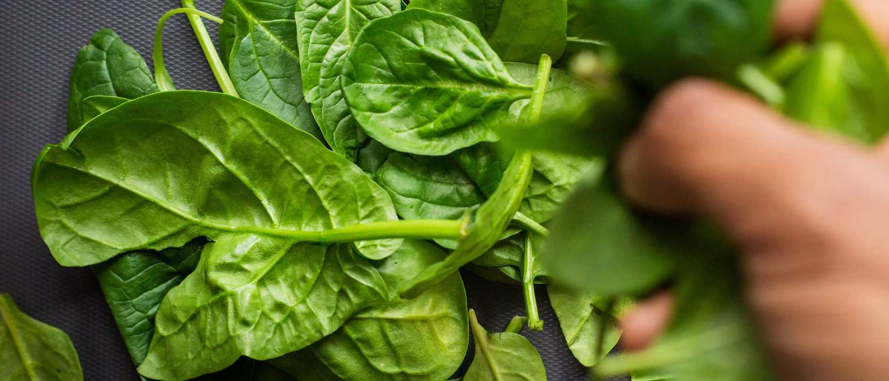 aip dieta povolené potraviny - listová zelenina