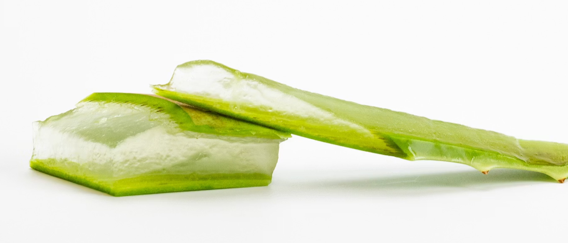 aloe vera účinky