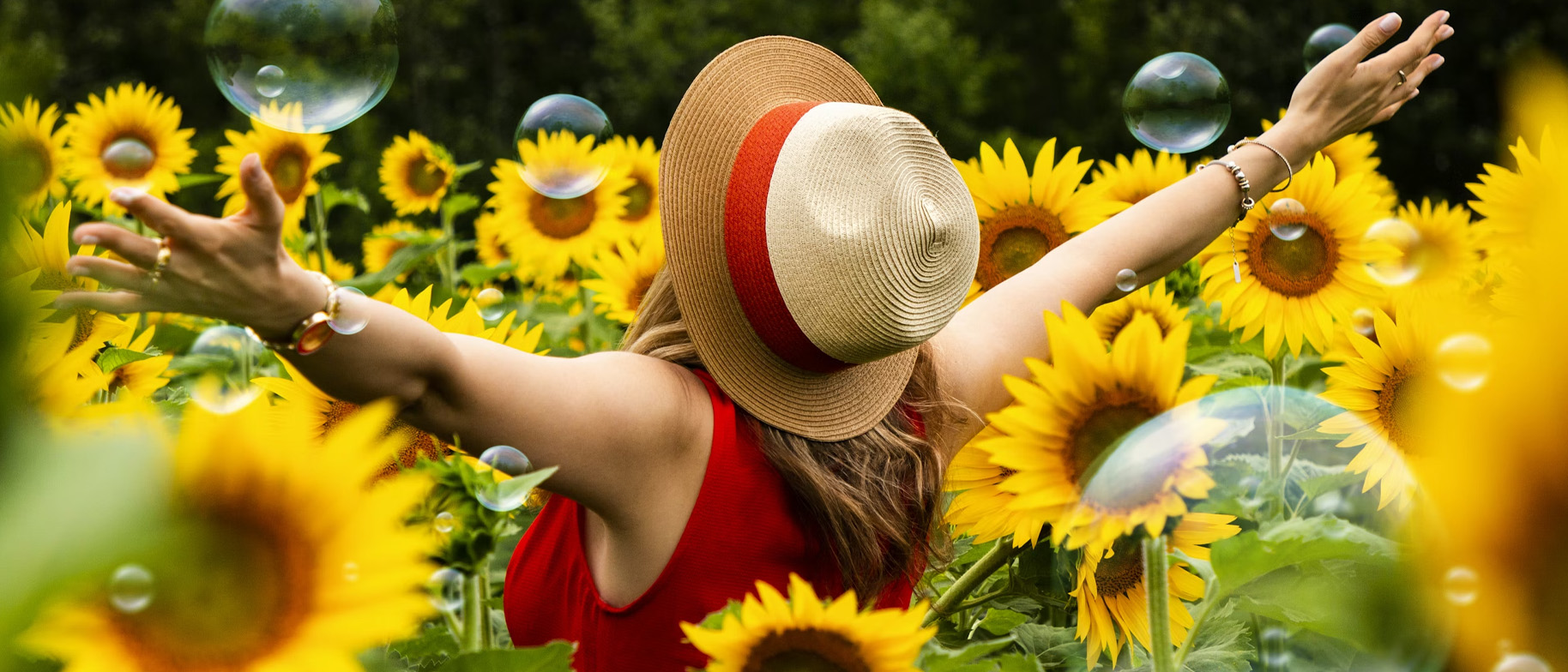 menstruace a cyklus vše o ženském zdraví