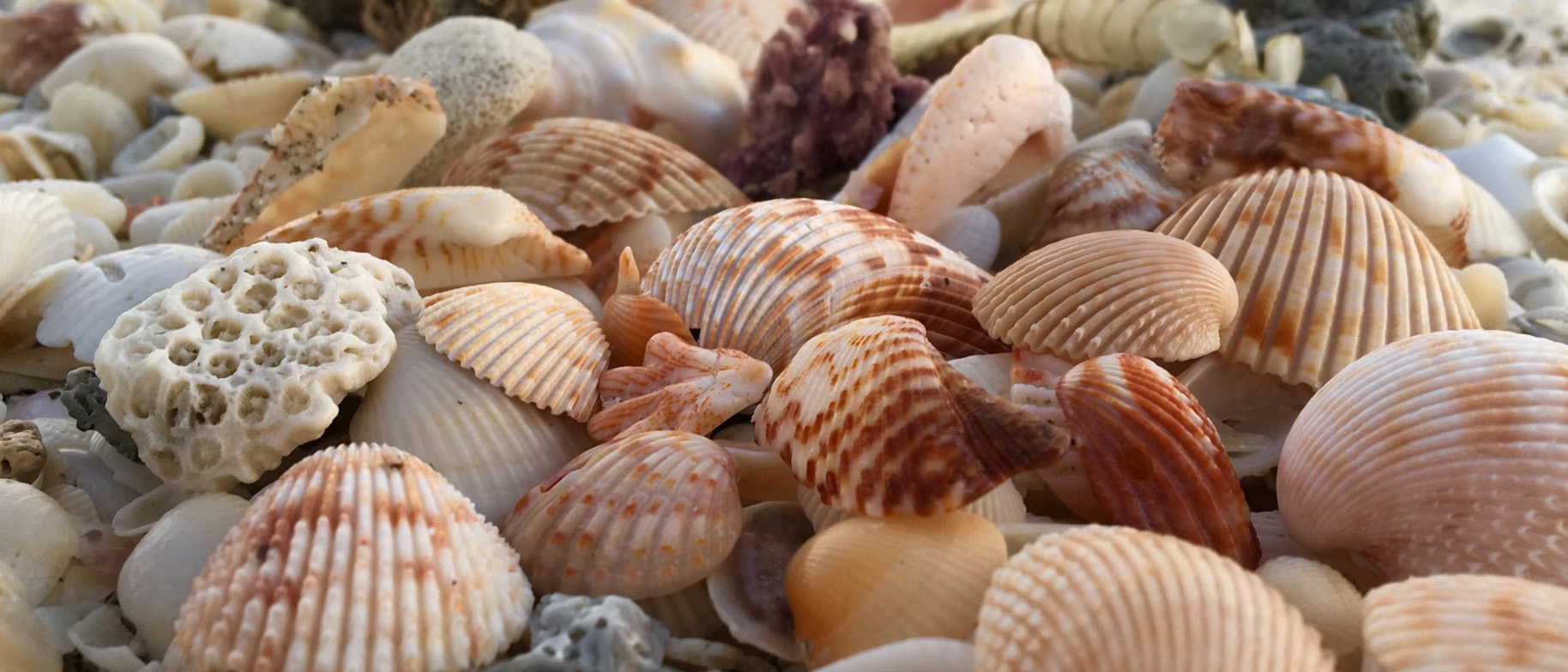 jak se zodpovědně opalovat