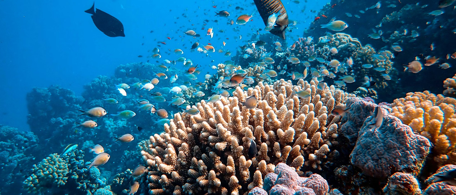 ekologie a opalovací krémy