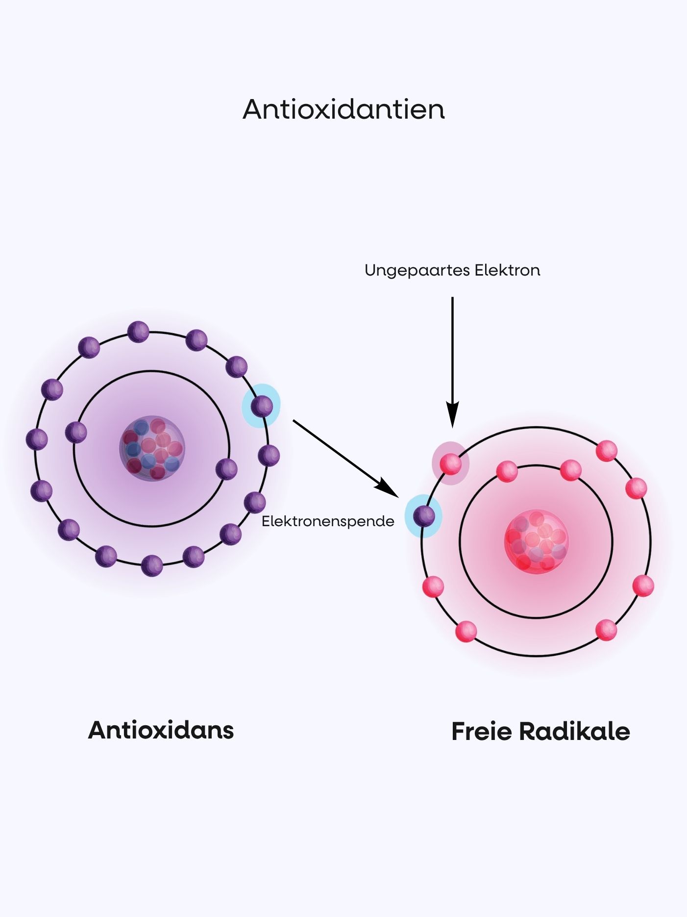 antioxidant.jpg