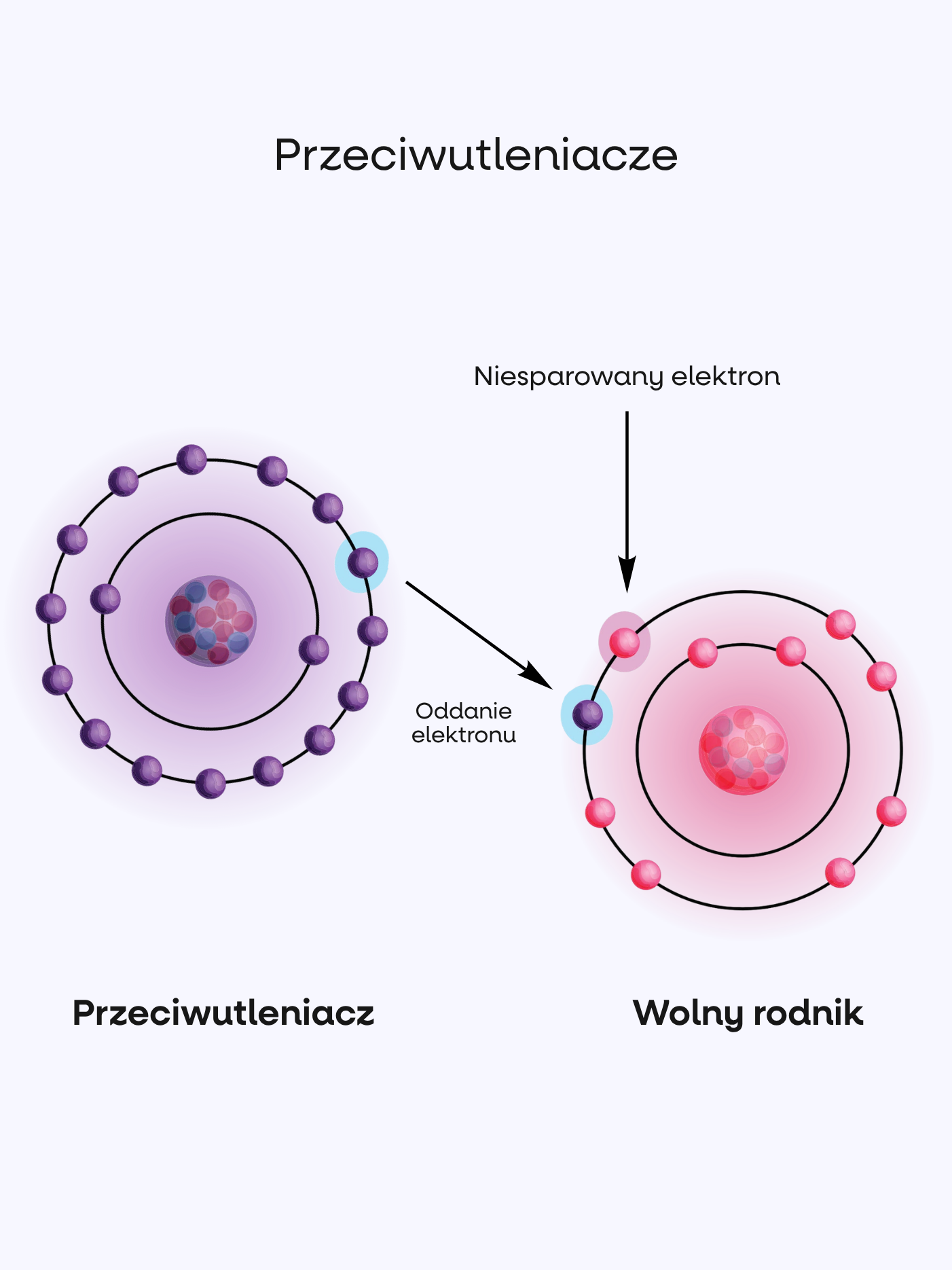 BrainMax_Men_Multivitamin,_multivitamin_pro_muze,_90_rostlinnych_kapsli_(3).png