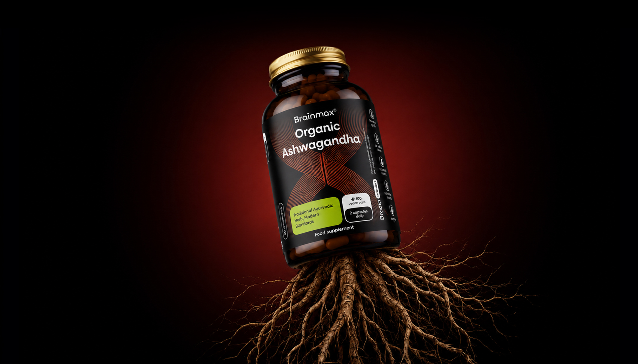 organic-main-final.jpg
