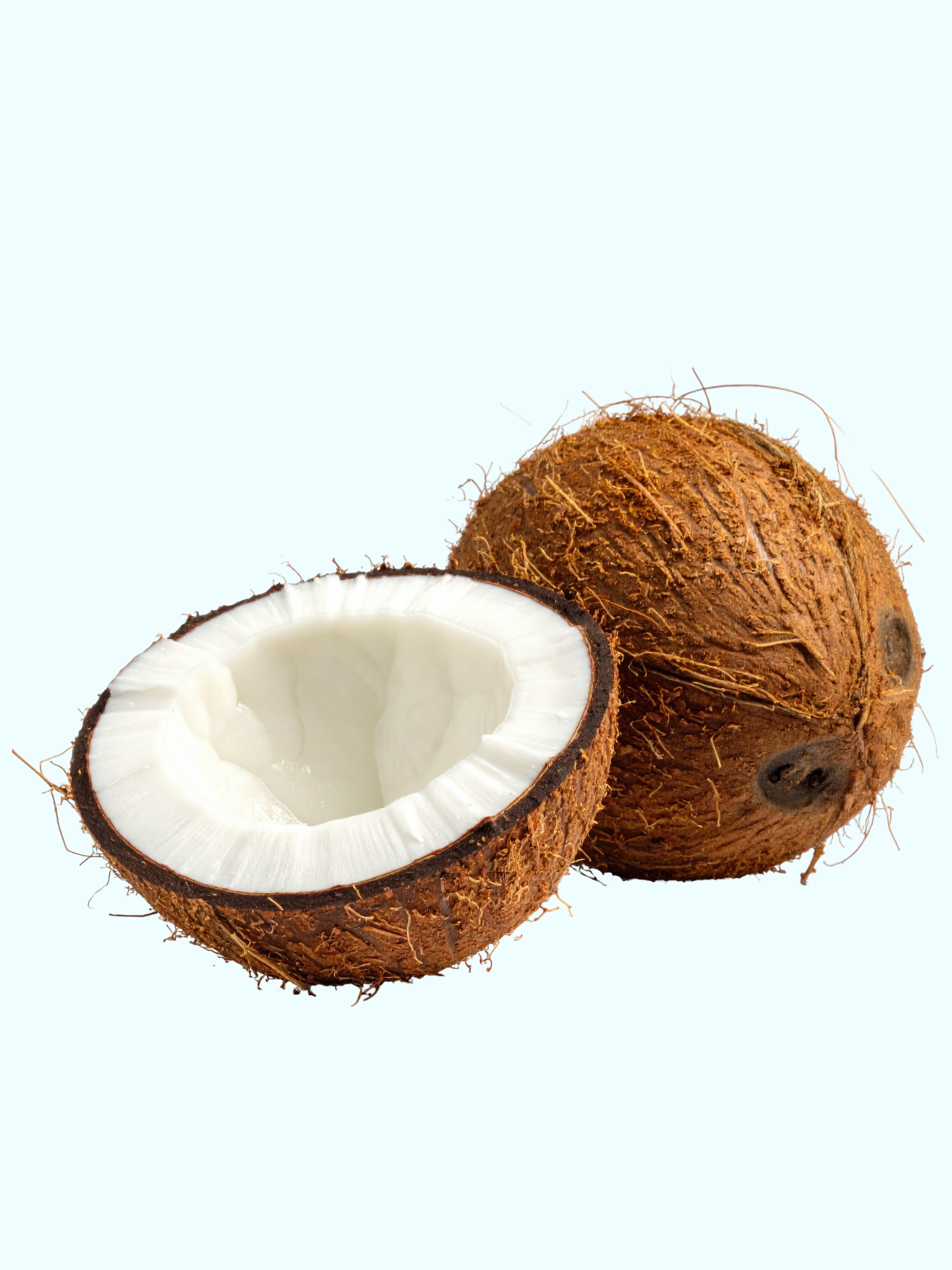 brainamx_probiotic_bar_coco.png