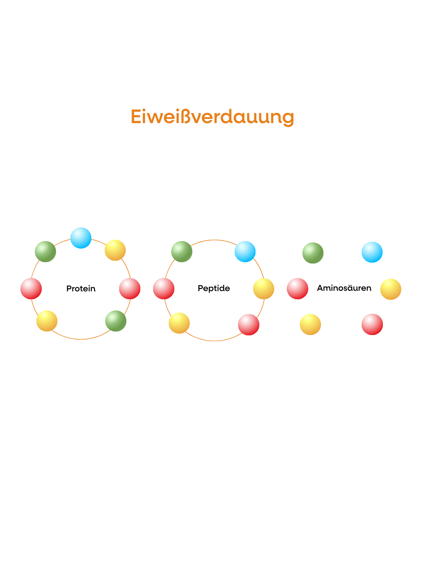 (Nemcina)_Resveratrol_(1).png