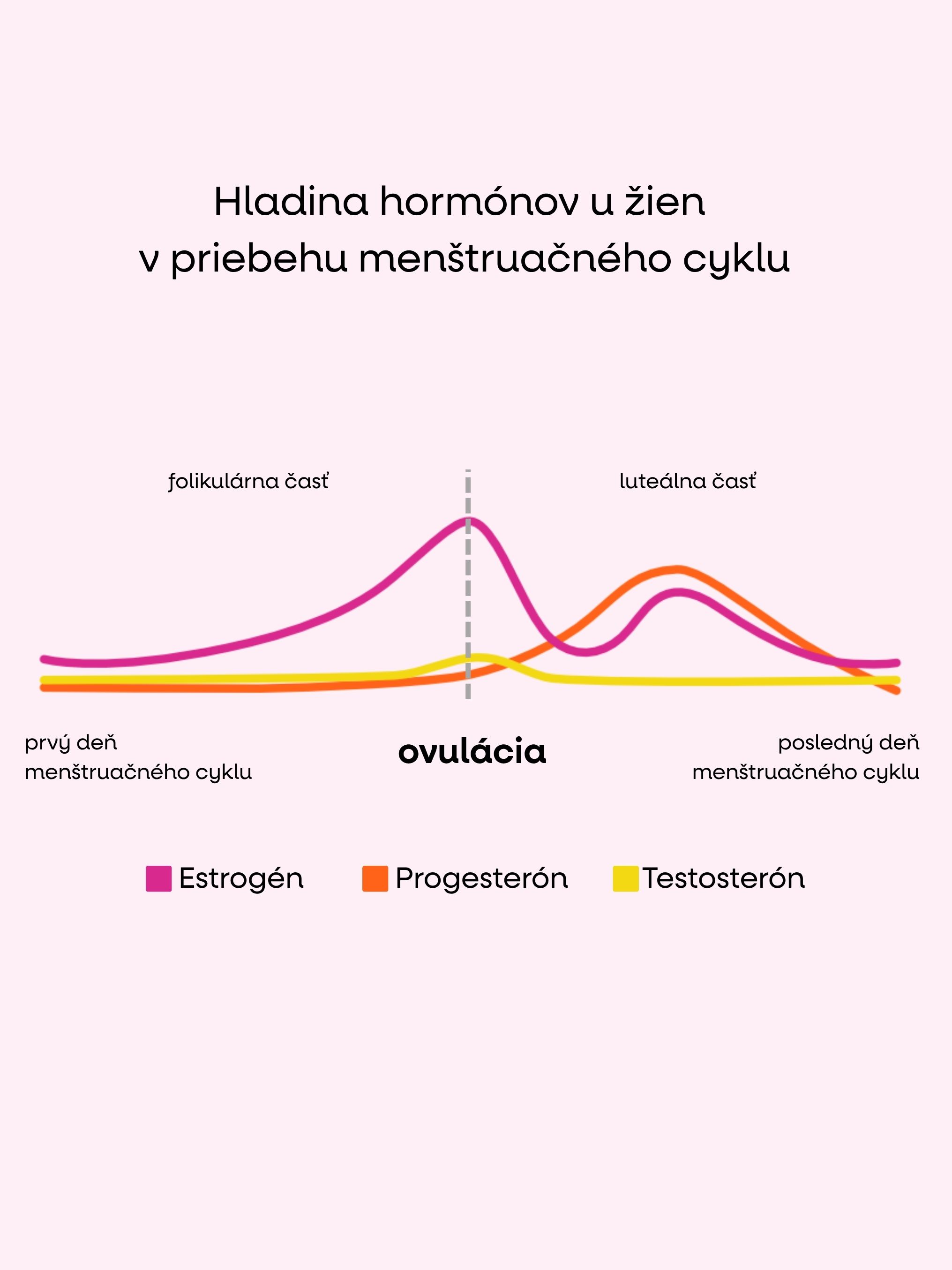 (Slovencina).jpg