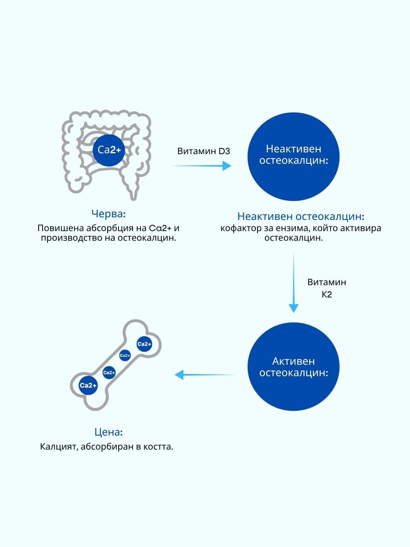 (Bulharstina)_Resveratrol.jpg