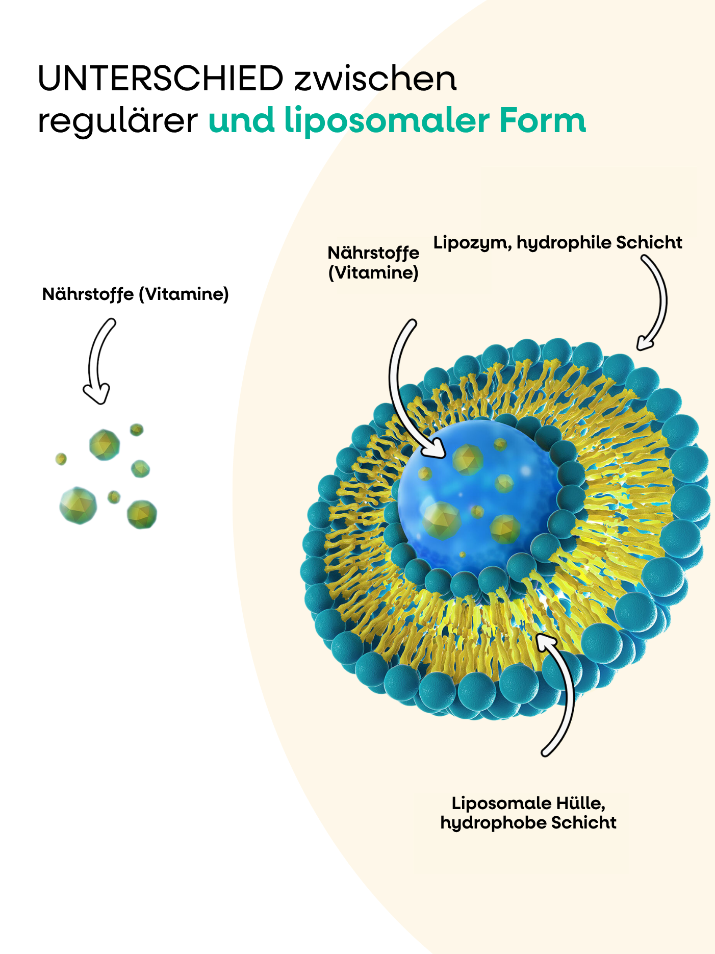 immunity kids produkt liposom2