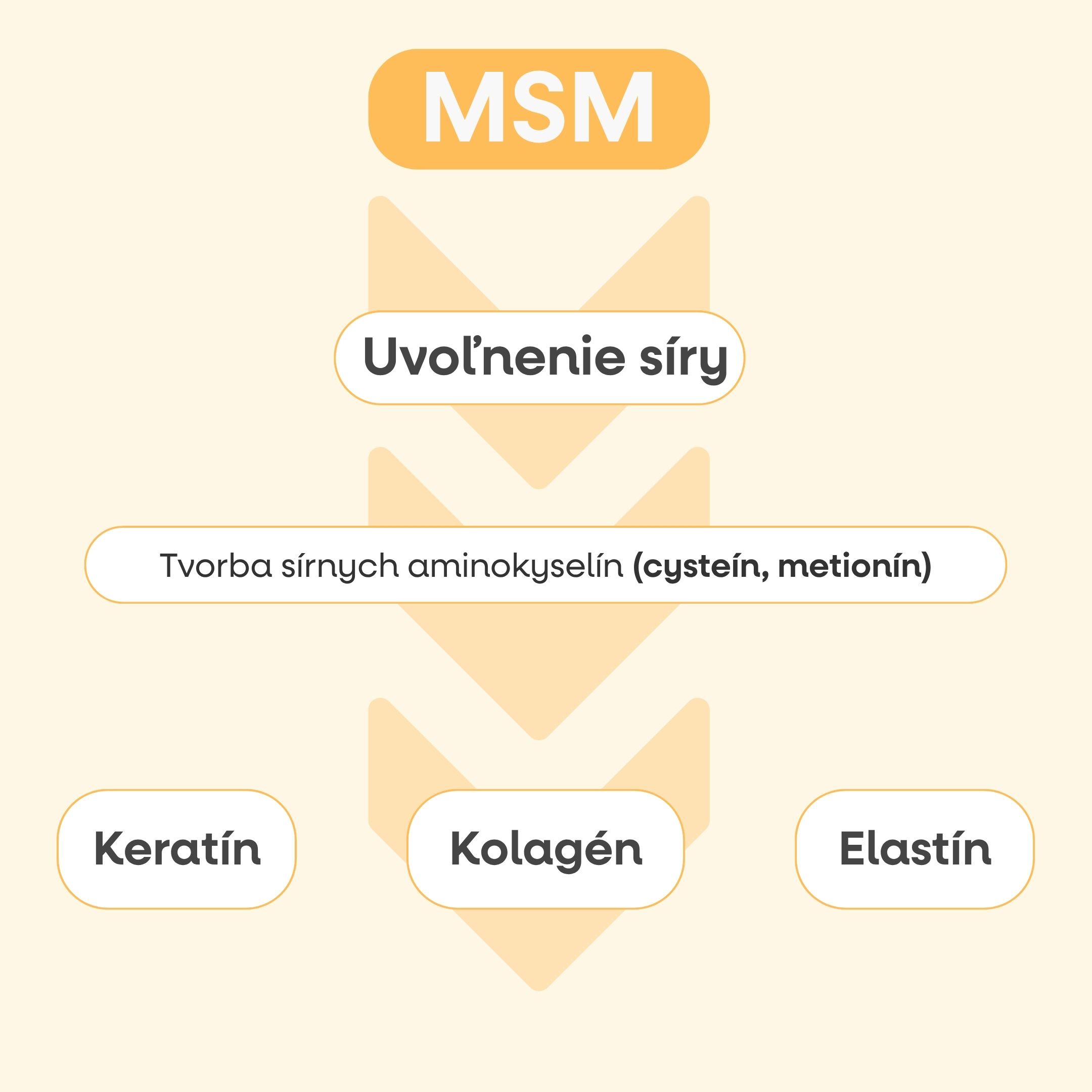 (Slovencina)_(8).jpg
