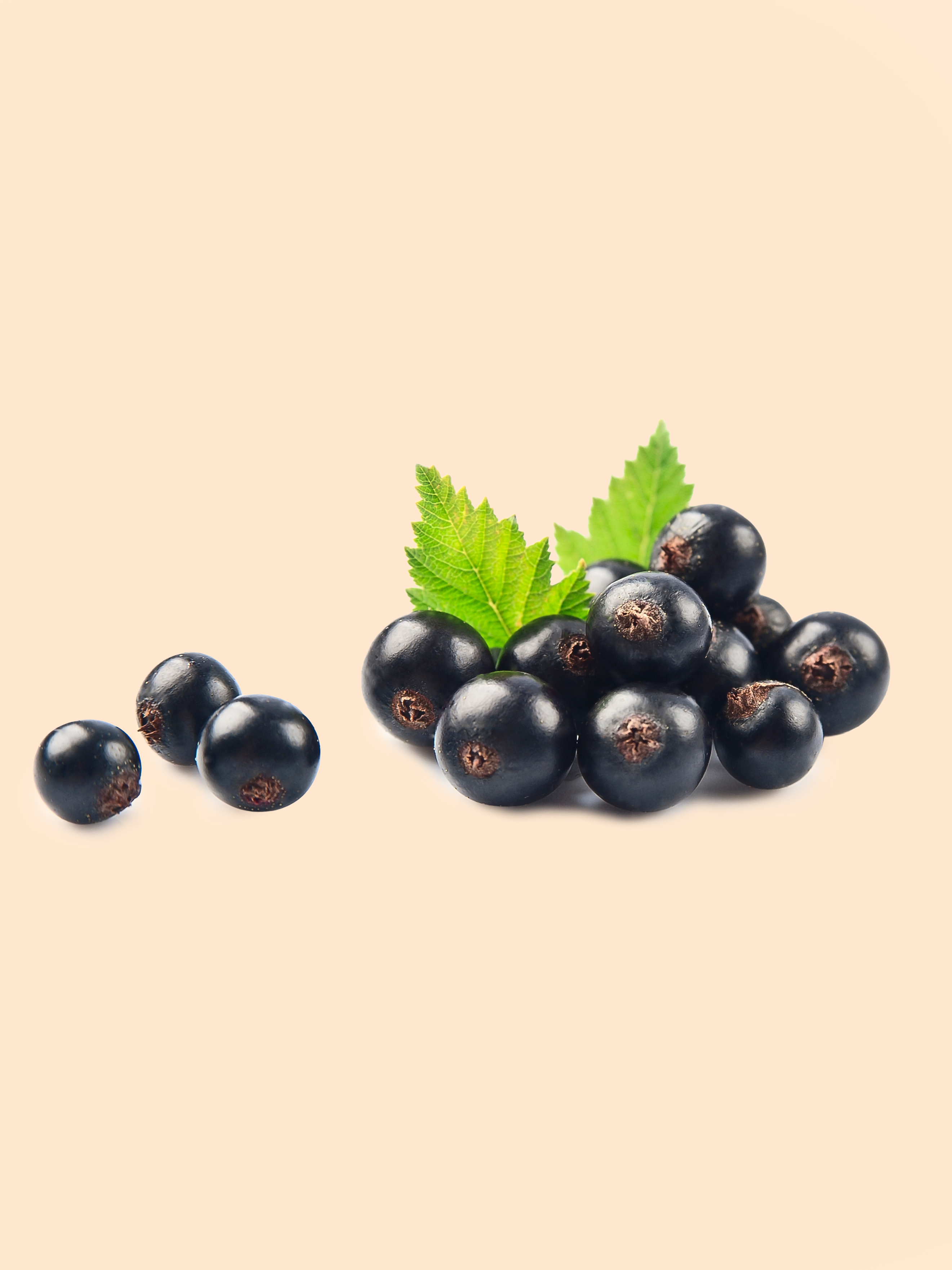rybiz.webp
