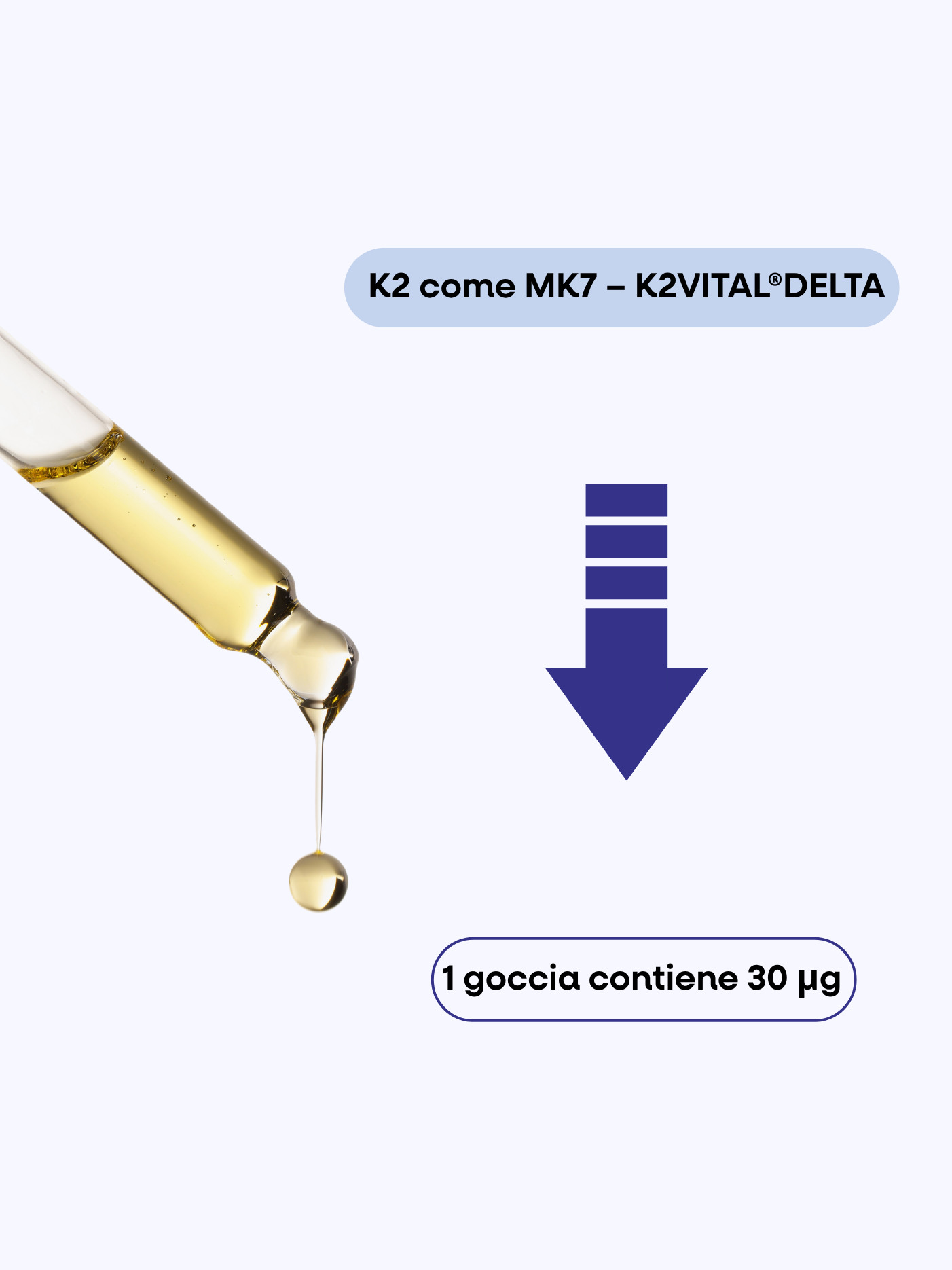 (Italstina).png