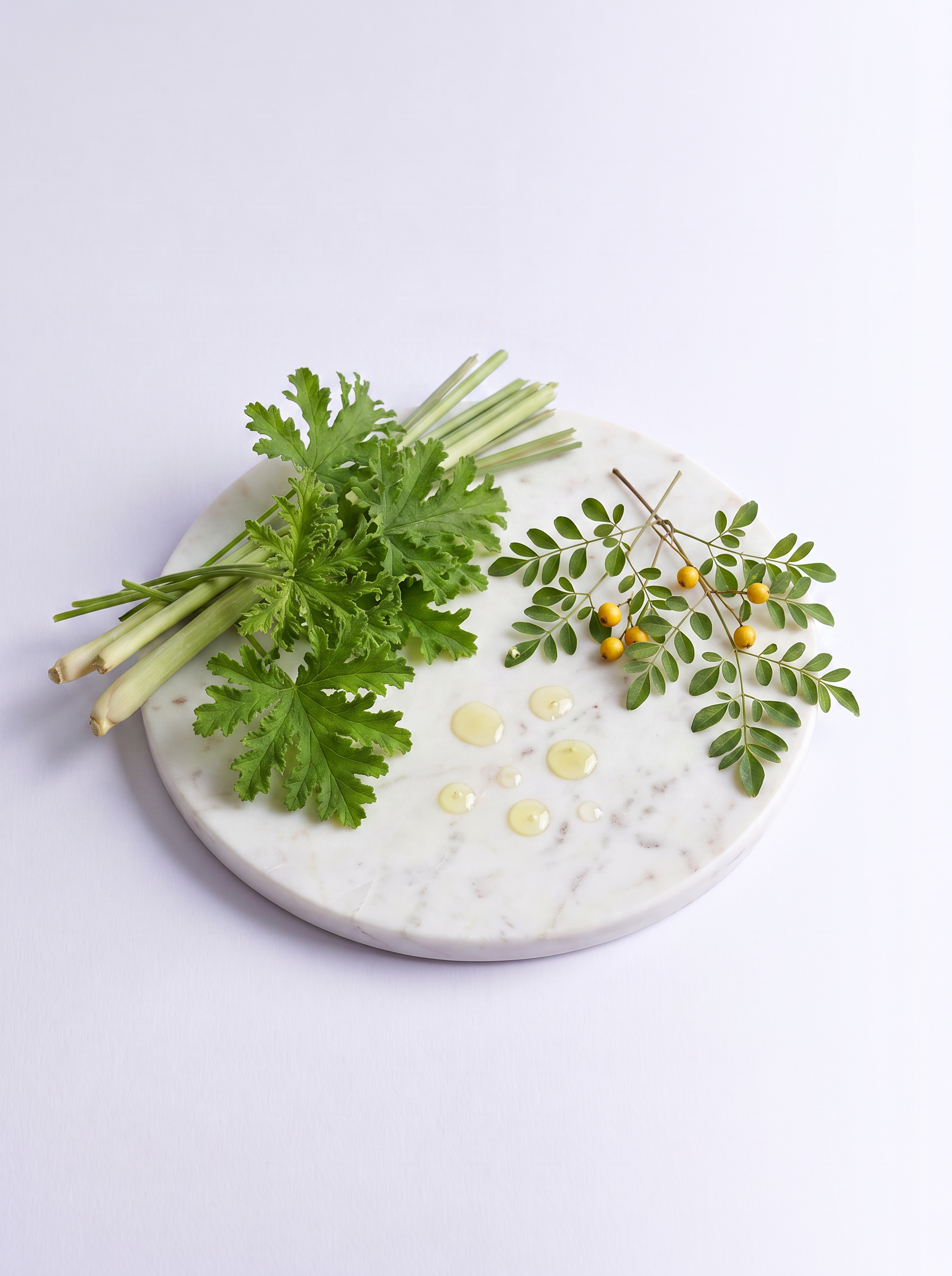 citronella-blok.png