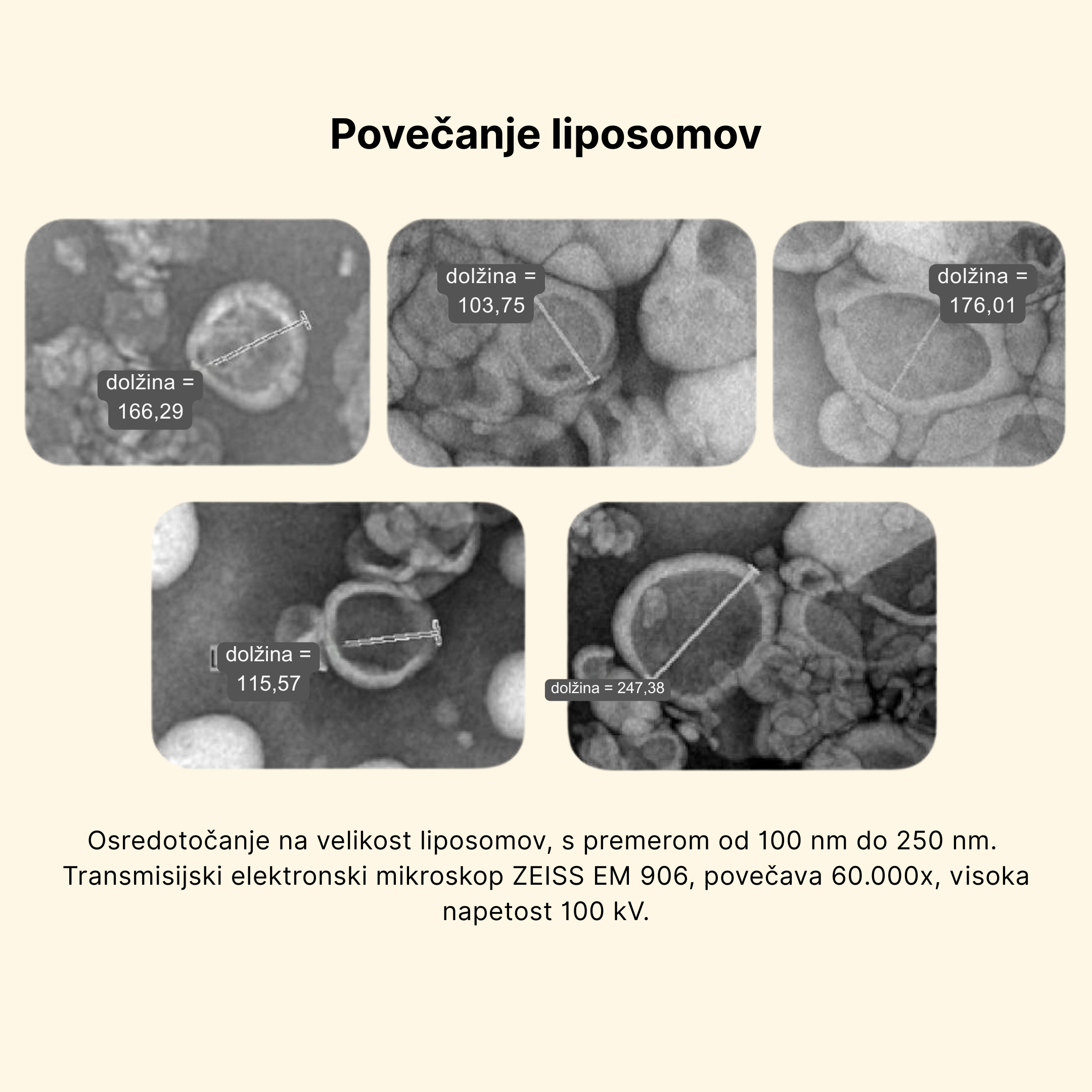 delka-liposom.jpg