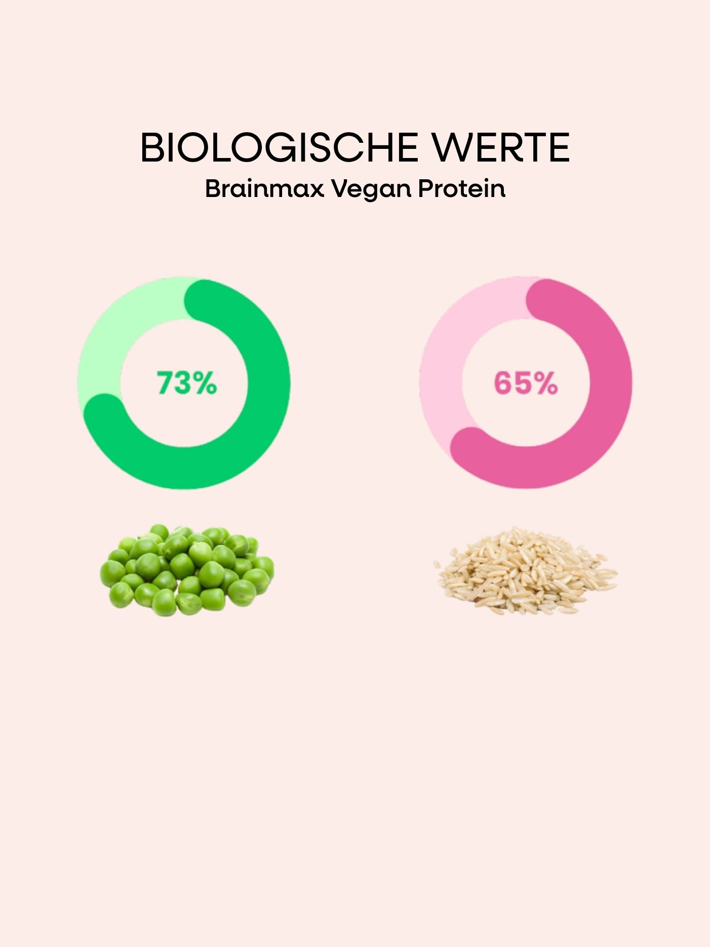 brainmax_vegan_protein_grafik.png