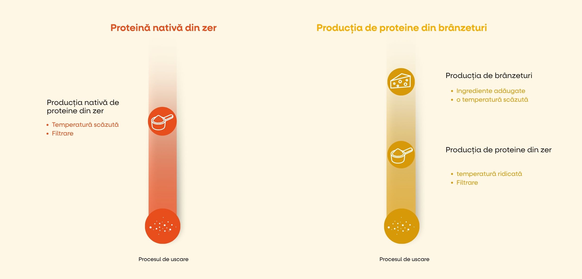 vyroba-proteinu.jpg