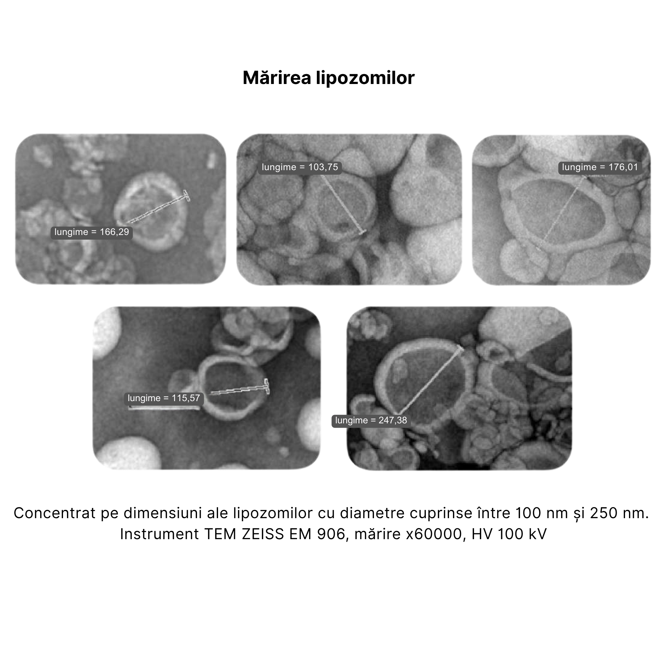 delka-liposom.jpg