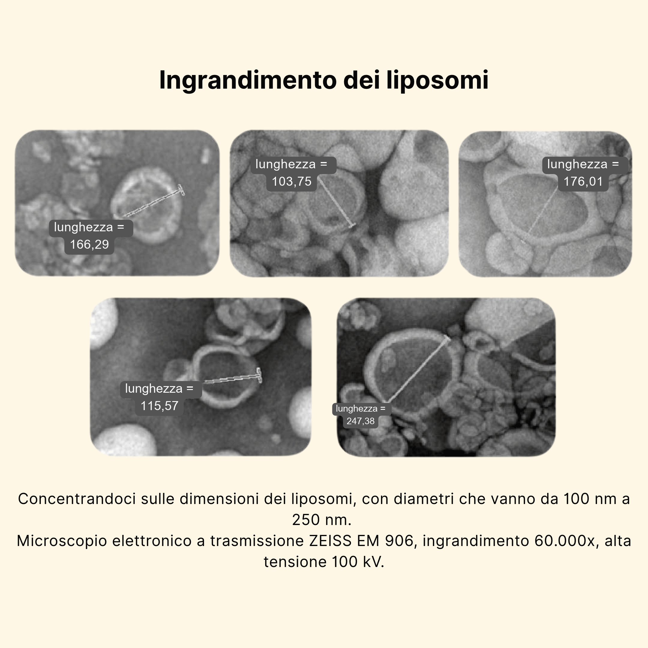 delka-liposom.jpg