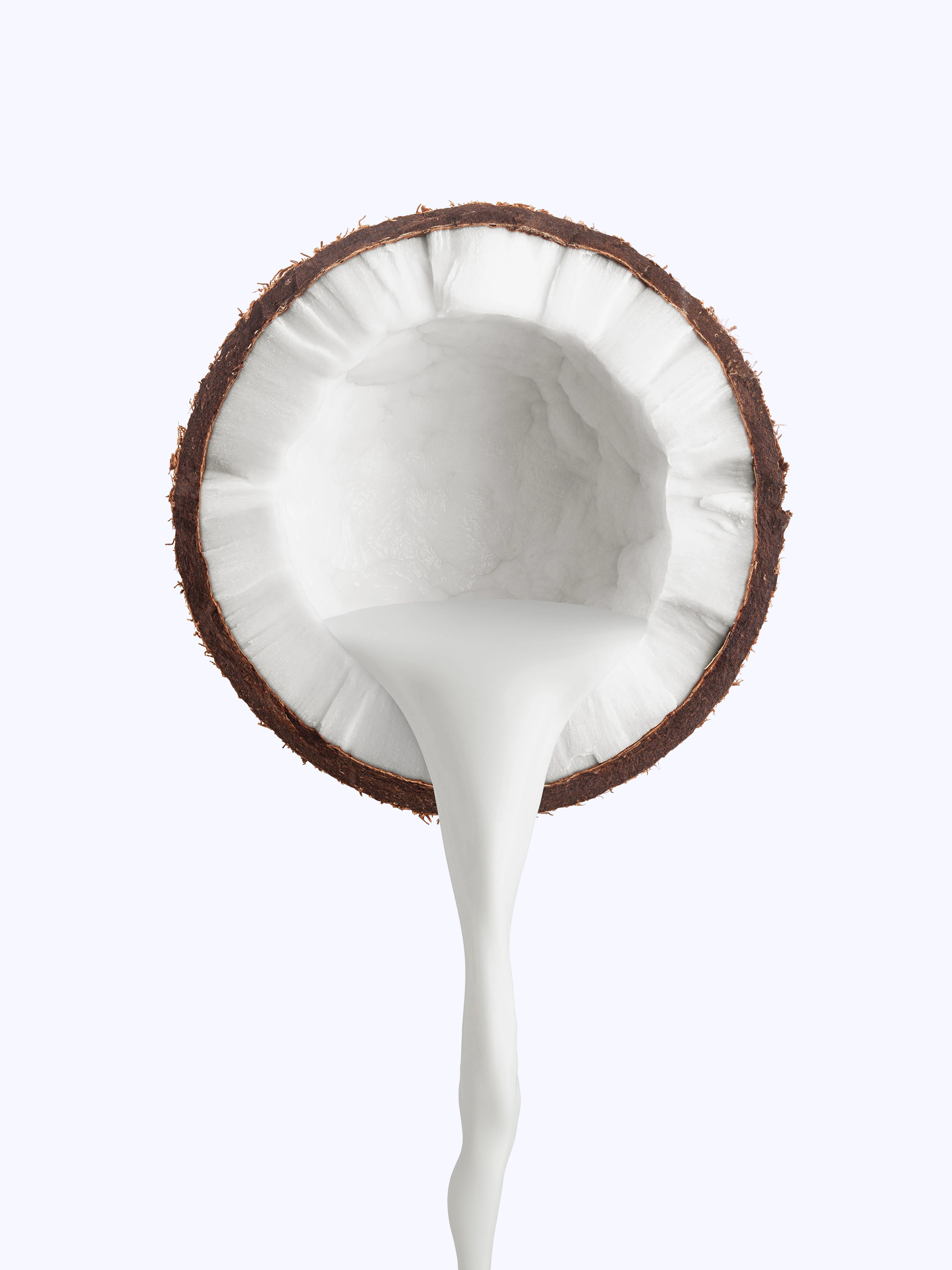 coconut.webp
