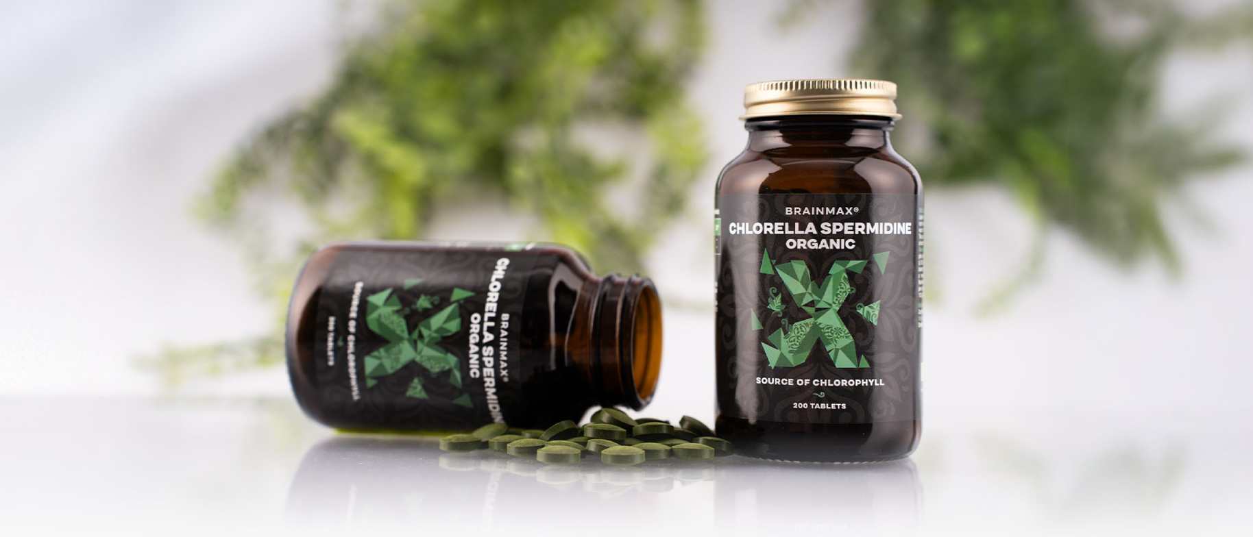 chlorela supergreens doplněk stravy