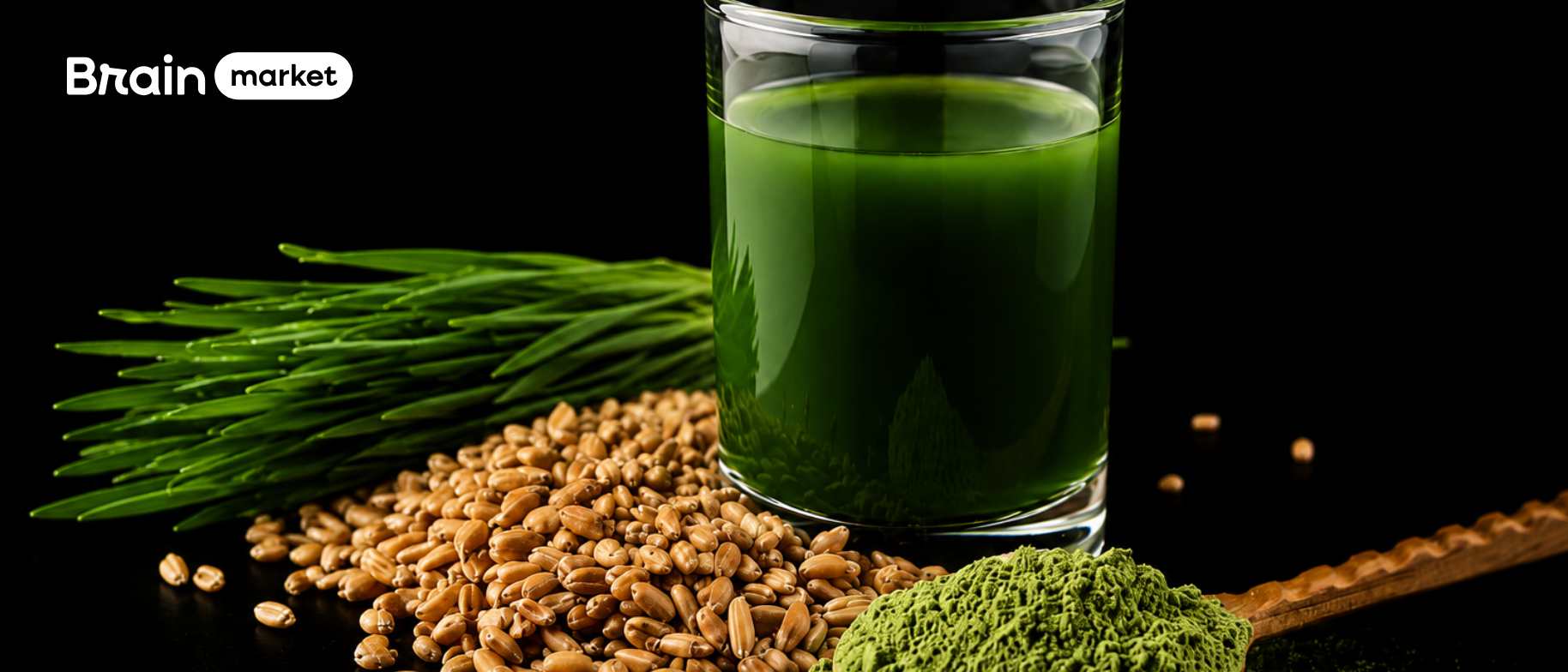Green foods neboli zelené potraviny