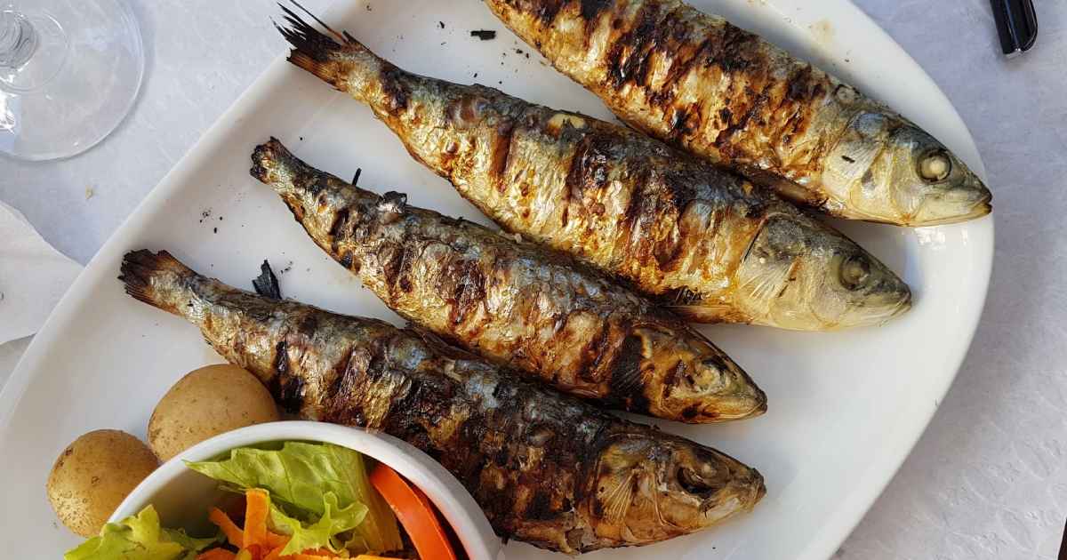 ryby ako zdroj omega 3 pre mozog