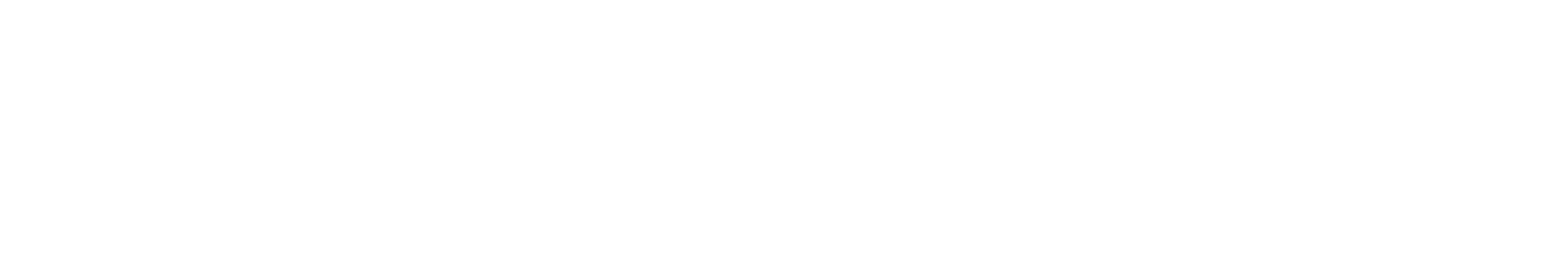 BrainMax