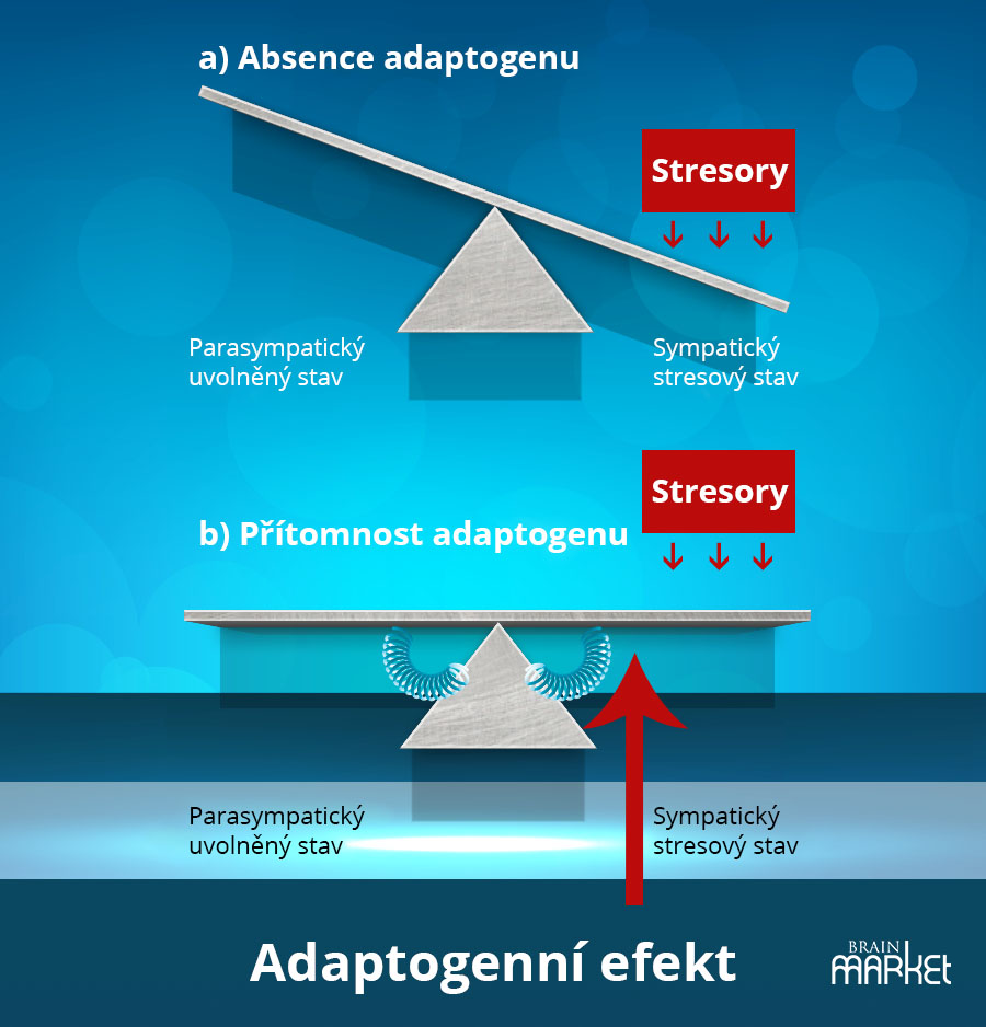 adaptogenni-efekt