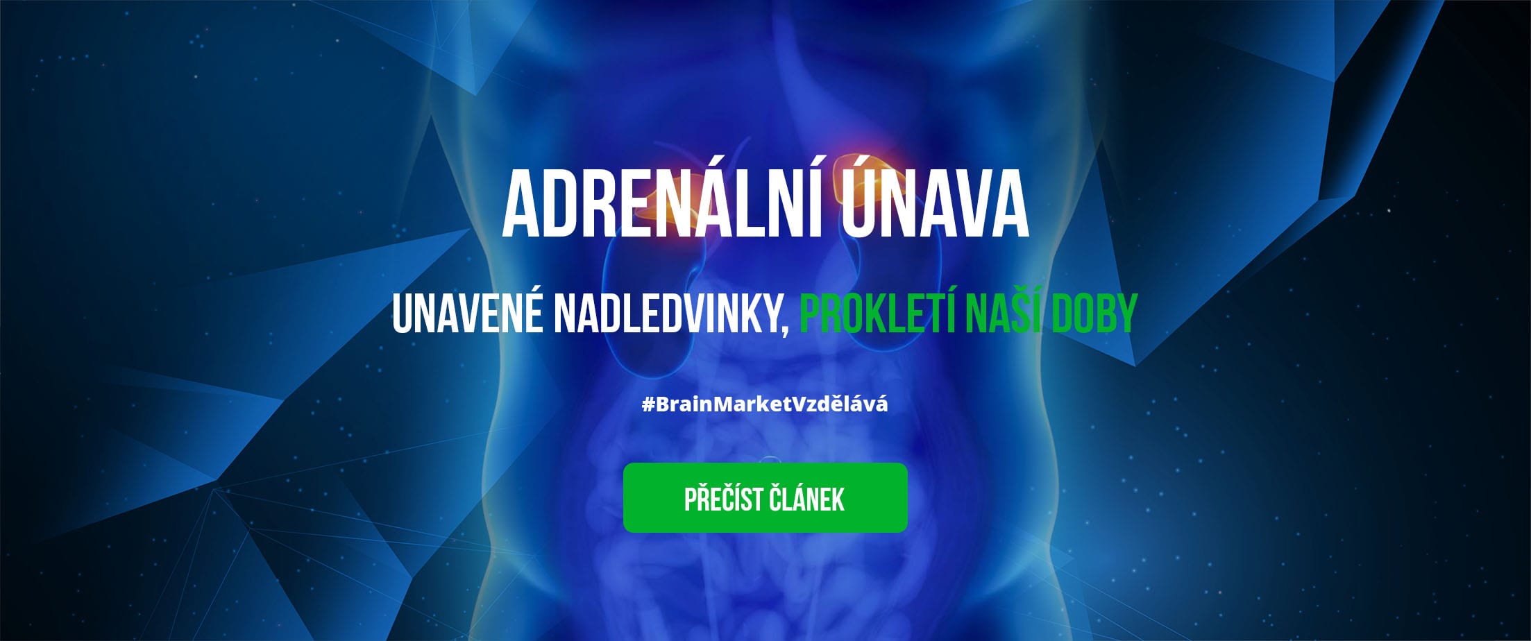 adrenalni-unava-clanek