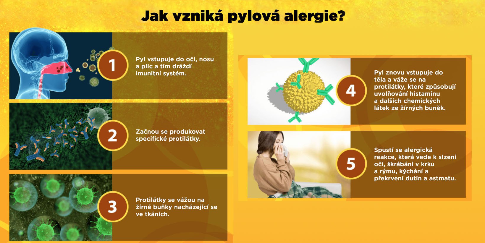 Kdy začíná alergie na pyl?
