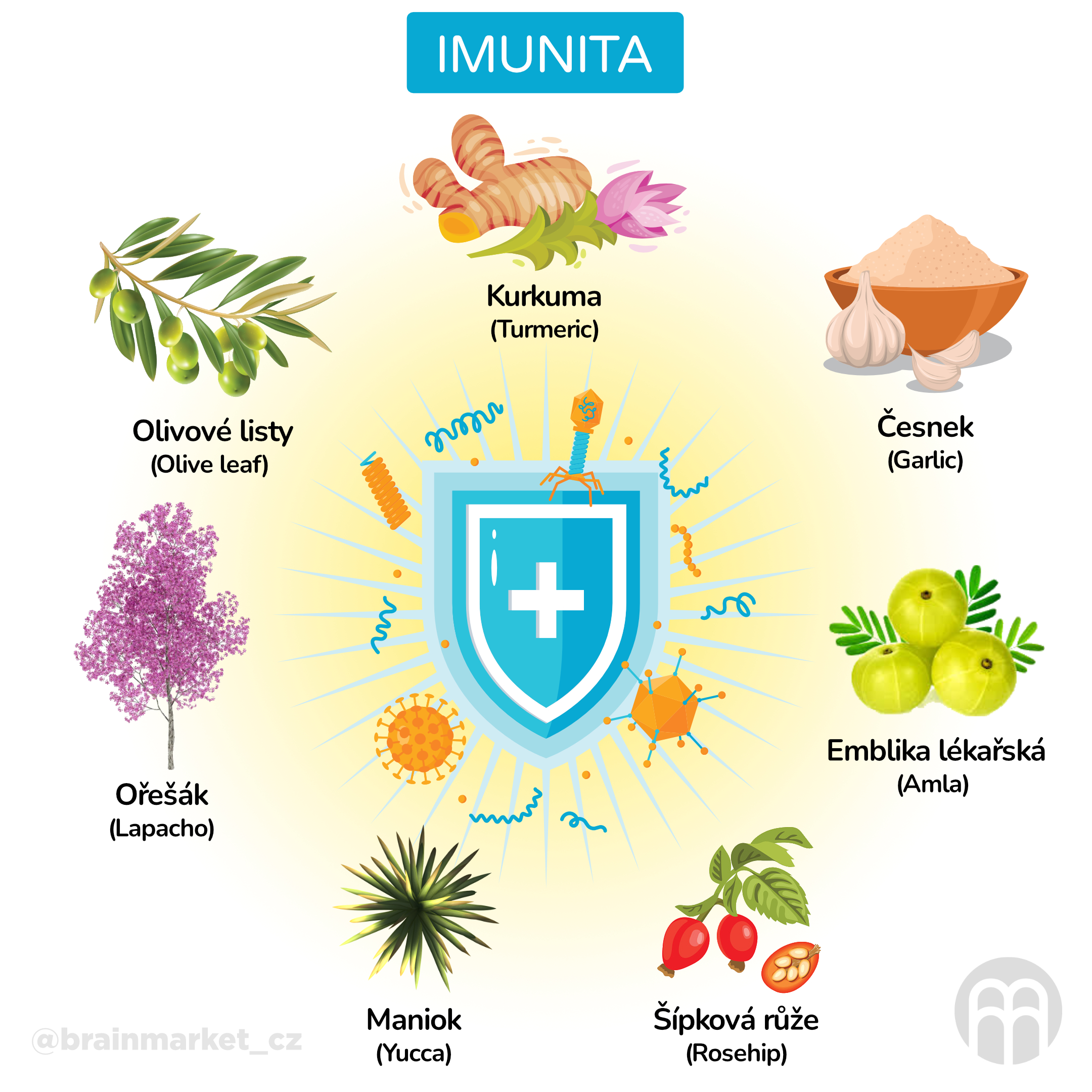 Imunita_infografika_cz