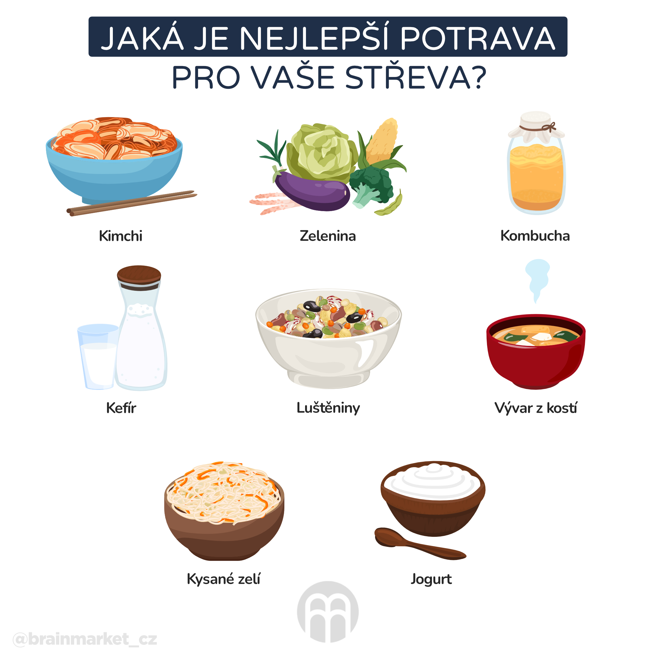 Jaka_je_nejlepsi_potrava_pro_vaše_střeva_infografika_cz