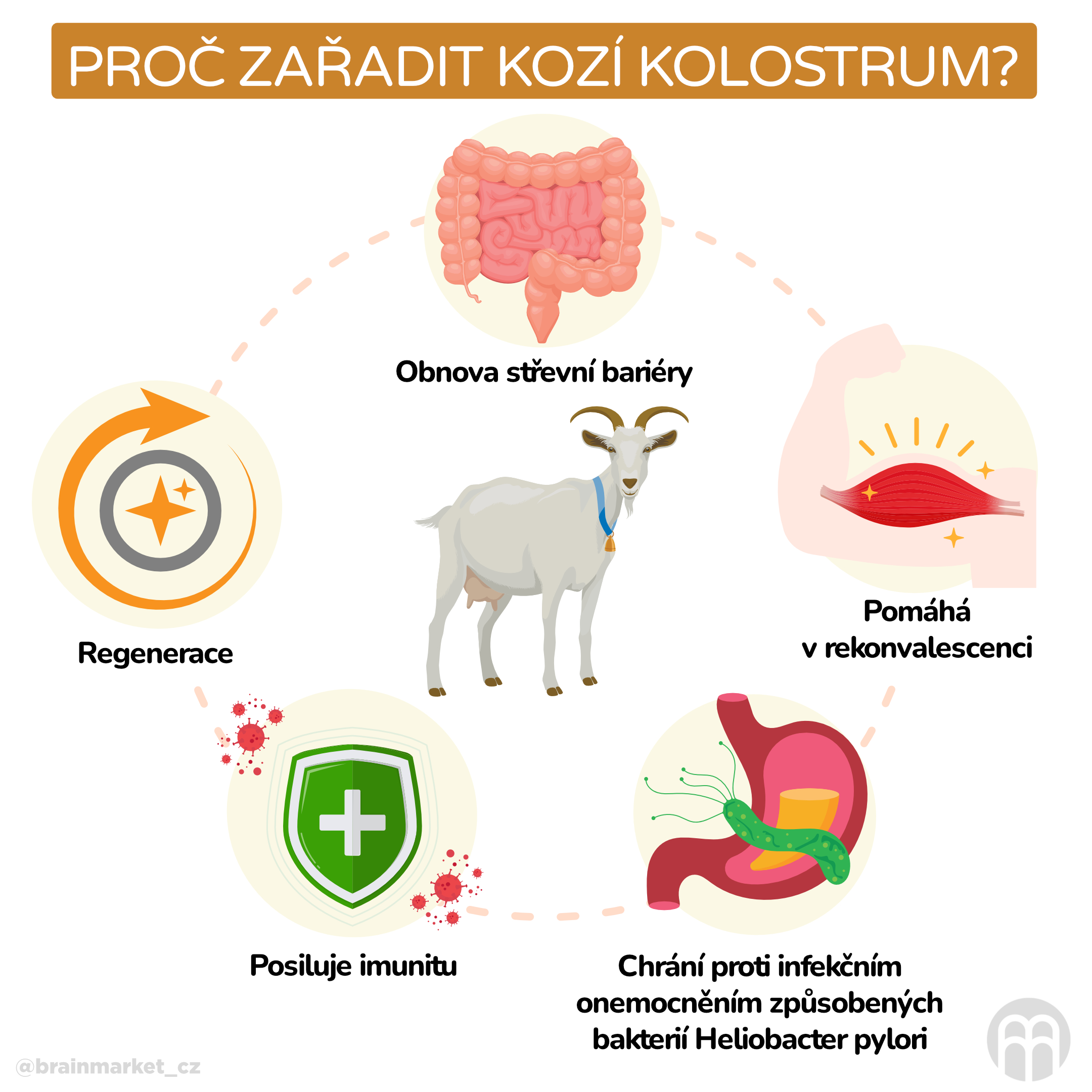 Proč užívat kolostrum?
