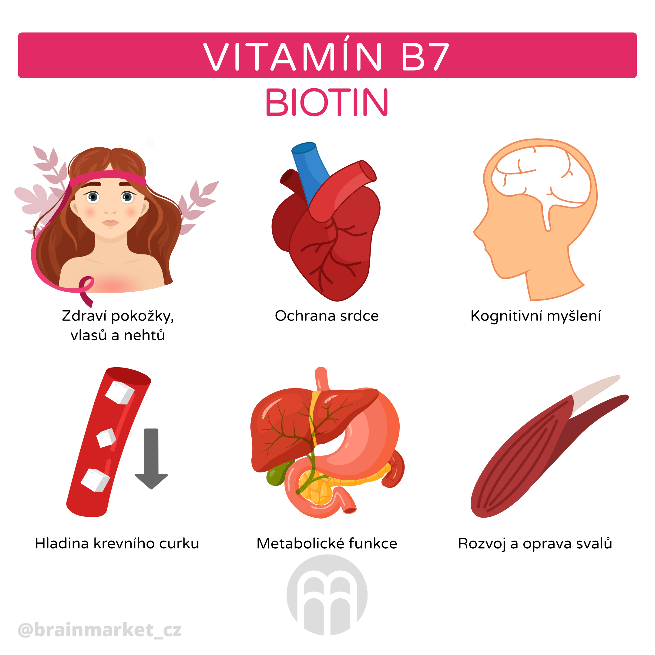 VitaminB7_infografika_cz