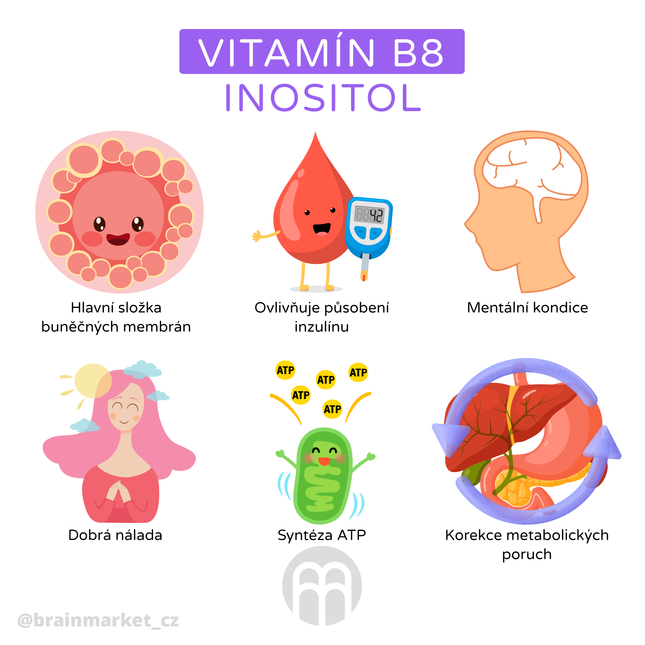 VitaminB8_infografika_cz