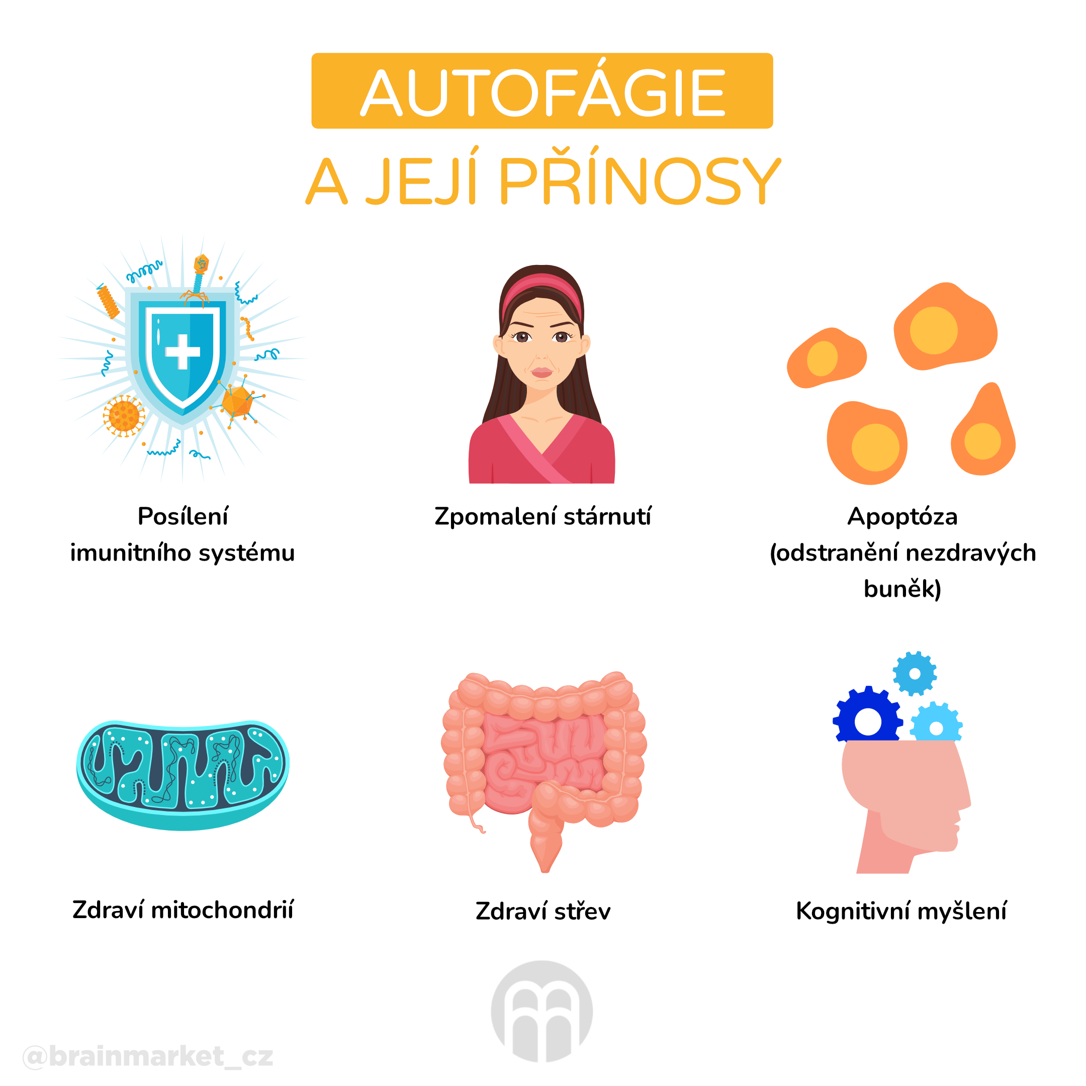 autofafie_a_jeji_prinosy_infografika_cz