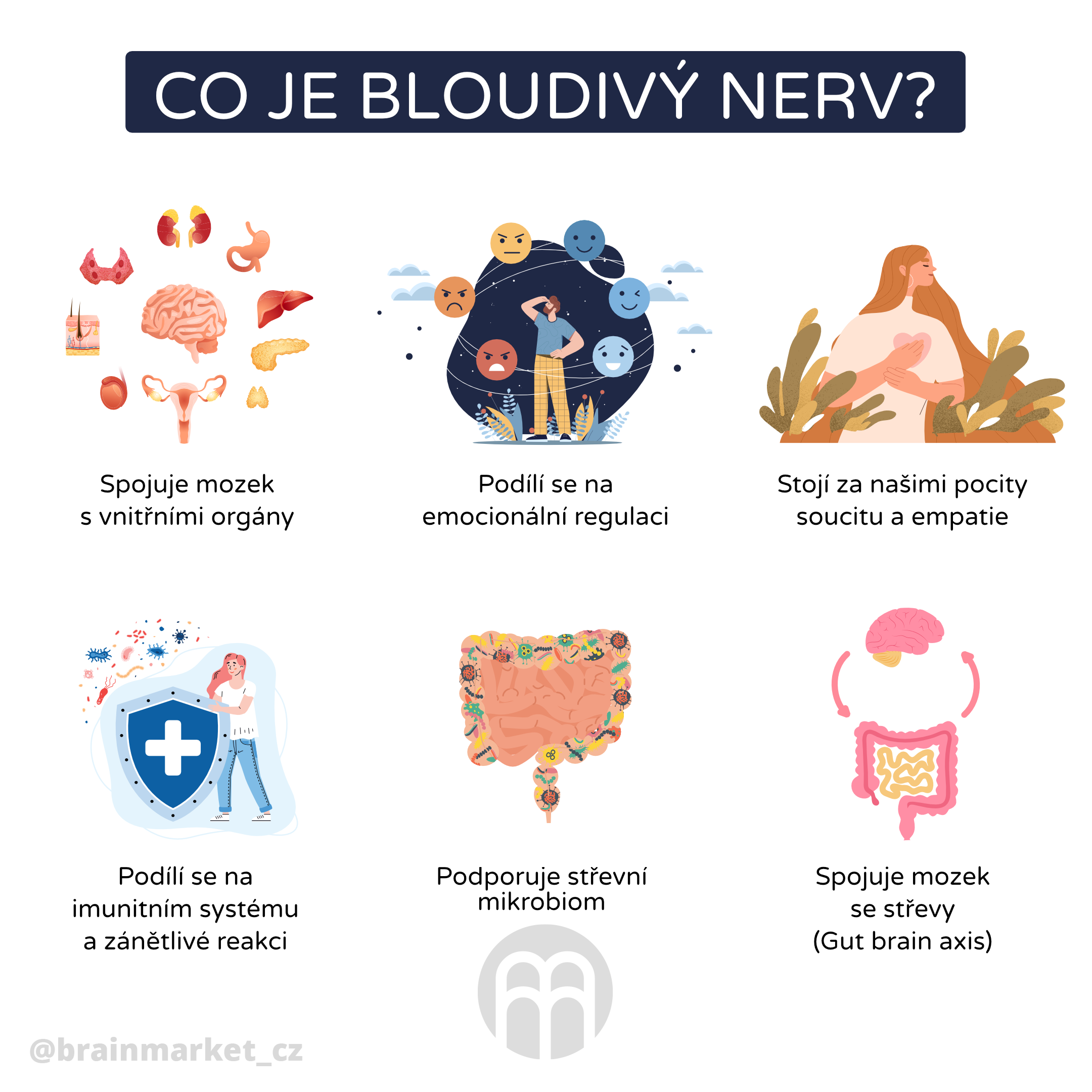 bloudivy_nerv_infografia_cz