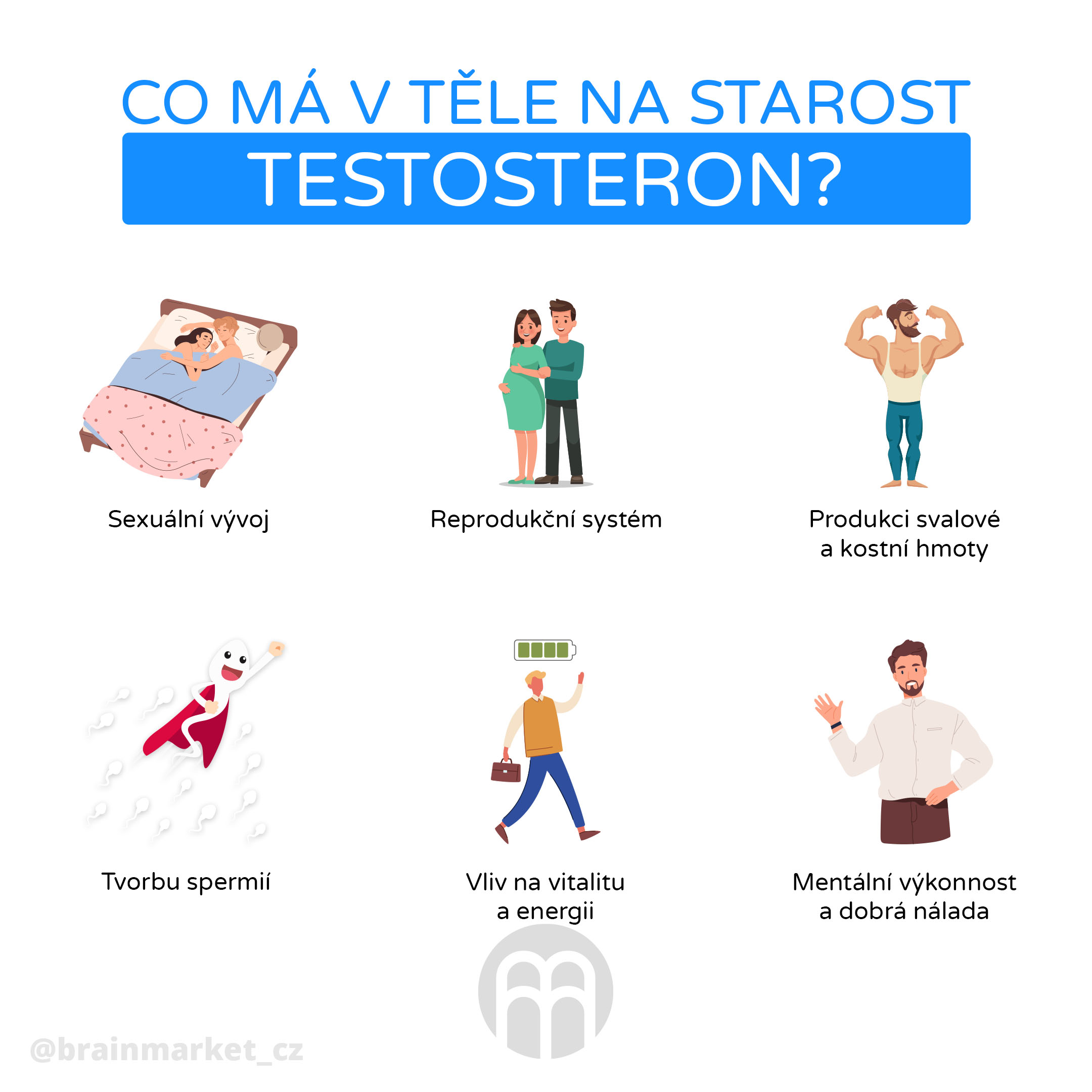 co_ma_na_starost_testosteron_infografika_brainmarket_cz