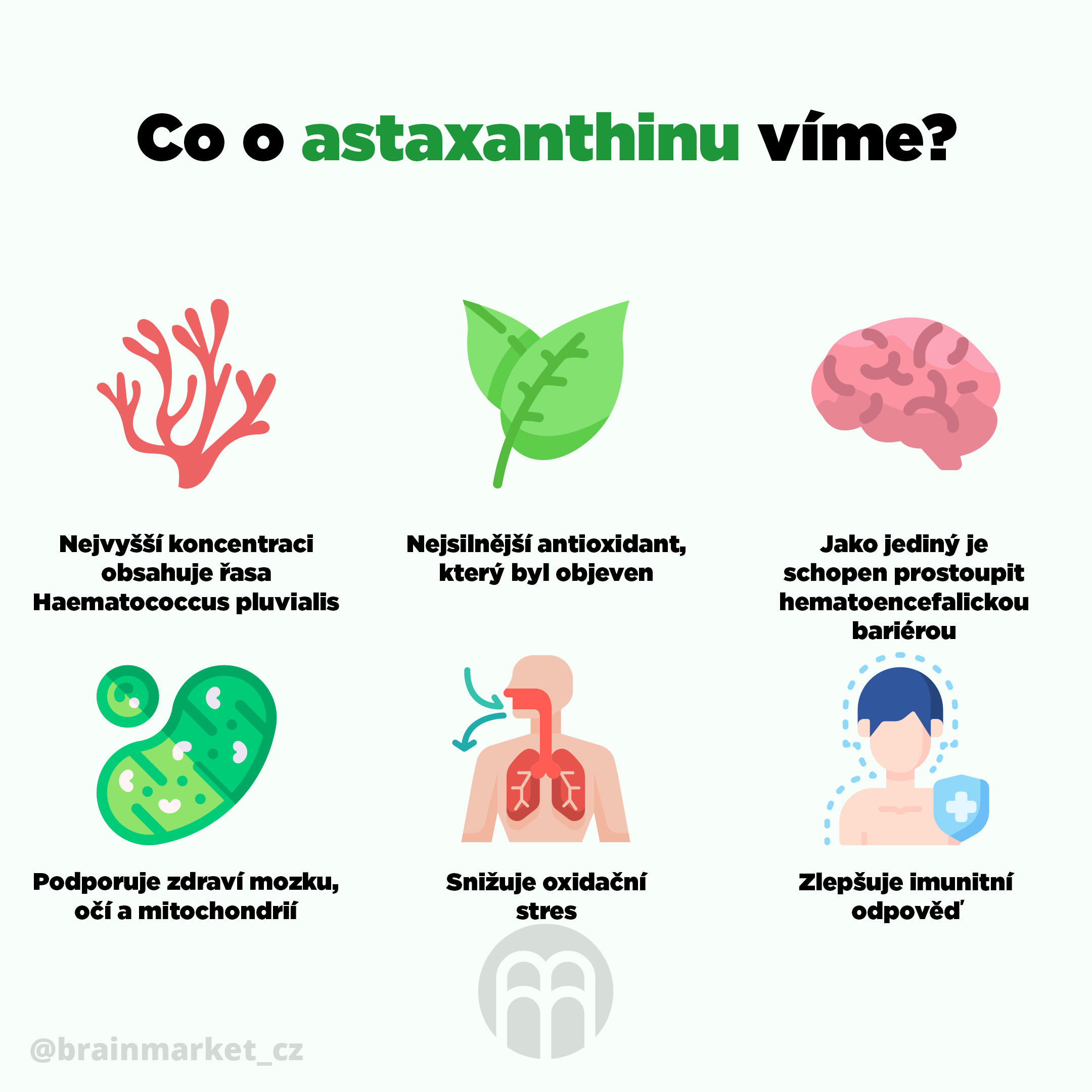 co_o_astaxanthinu_vime_infografika_brainmarket_cz