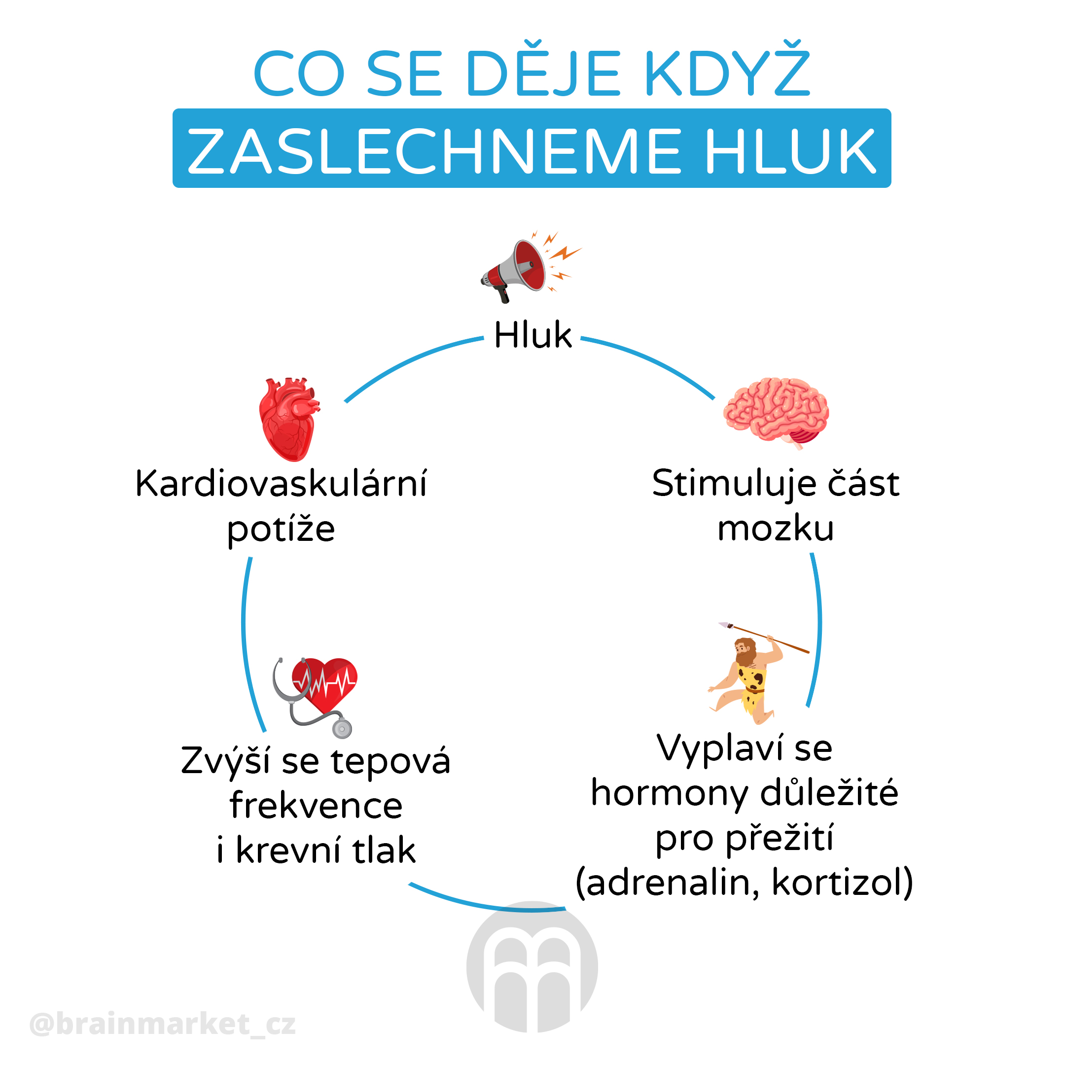 co_se_deje_v_tele_hluk_infografika_brainmarket_cz